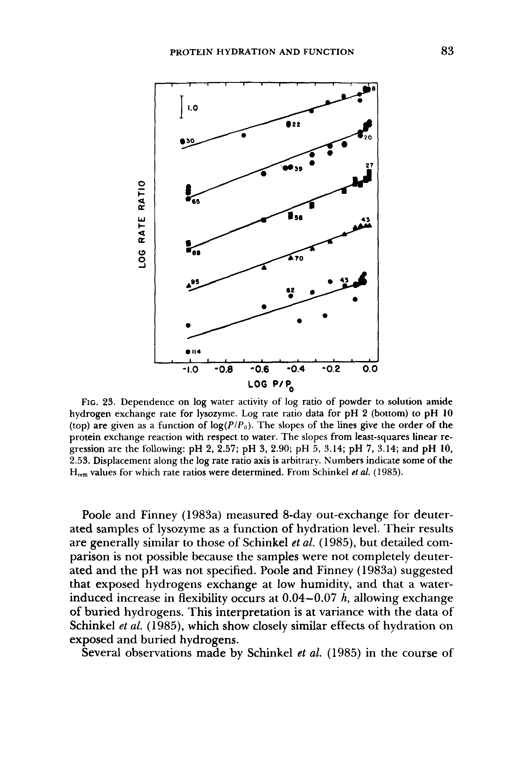 Fig. 23. Dependence on log water activity of log ratio of powder to solution amide hydrogen exchange rate for lysozyme. Log rate ratio data for pH 2 (bottom) to pH 10 (top) are given as a function of log(/ /Po). The slopes of the lines give the order of the protein exchange reaction with respect to water. The slopes from least-squares linear regression are the following pH 2, 2.57 pH 3, 2.90 pH 5, 3.14 pH 7, 3.14 and pH 10, 2.53. Displacement along the log rate ratio axis is arbitrary. Numbers indicate some of the H m values for which rate ratios were determined. From Schinkel et at. (1985).