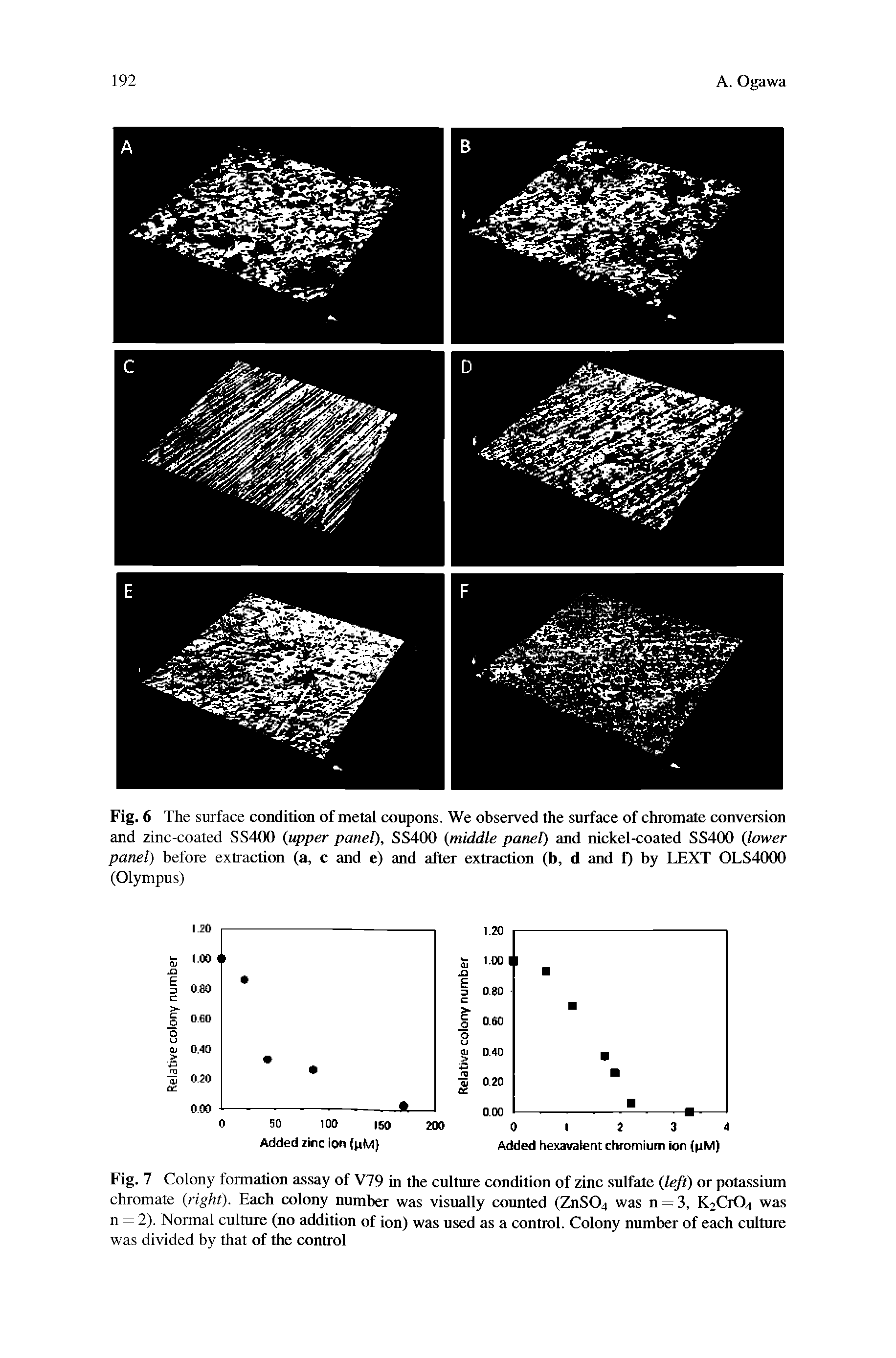 Fig. 7 Colony formation assay of V79 in the culture condition of zinc sulfate (left) or potassium chromate (right). Each colony number was visually counted (ZnS04 was n = 3, K2Cr04 was n = 2). Normal culture (no addition of ion) was used as a control. Colony number of each culture was divided by that of the control...