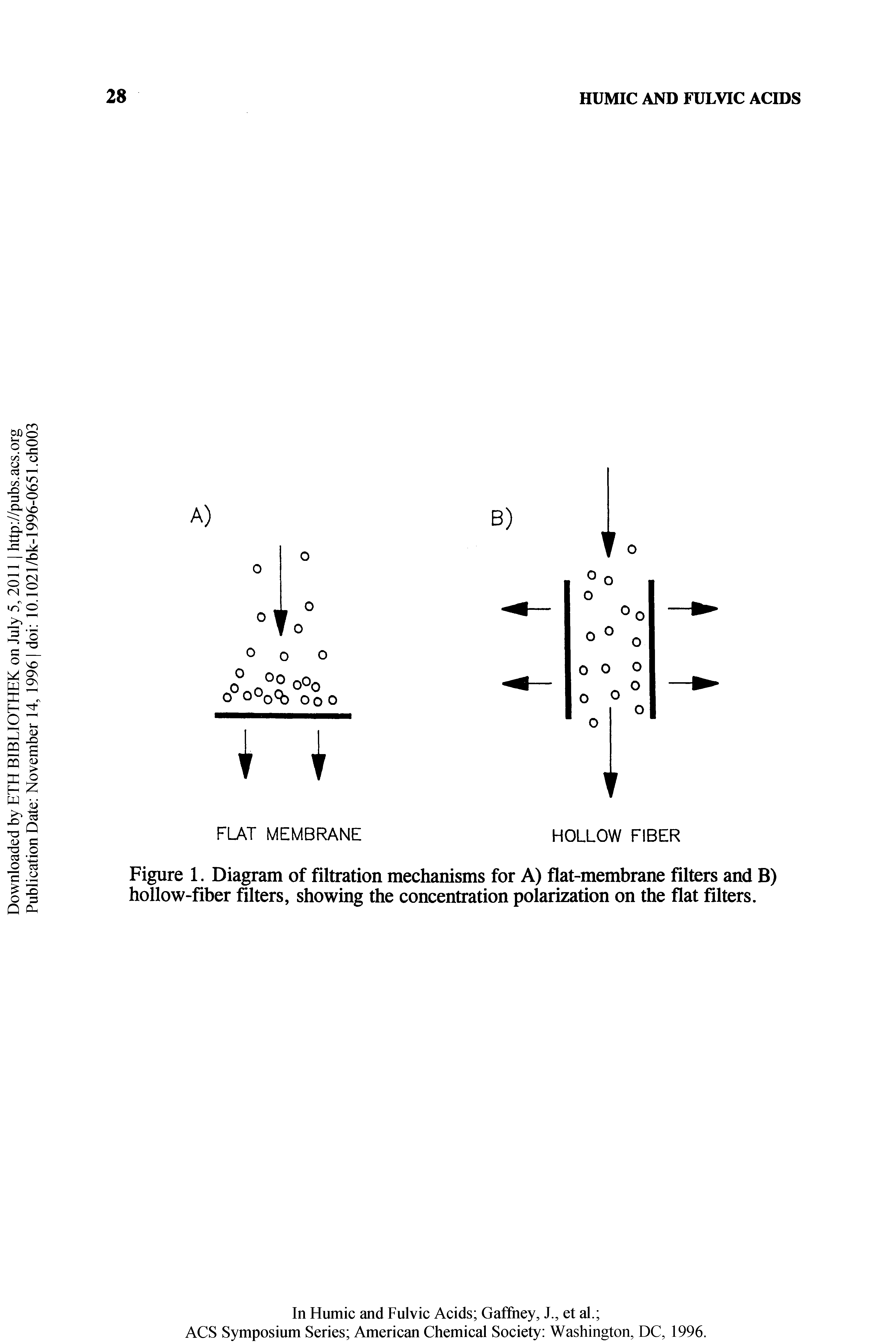 Figure 1. Diagram of filtration mechanisms for A) flat-membrane filters and B) hollow-fiber filters, showing the concentration polarization on the flat filters.