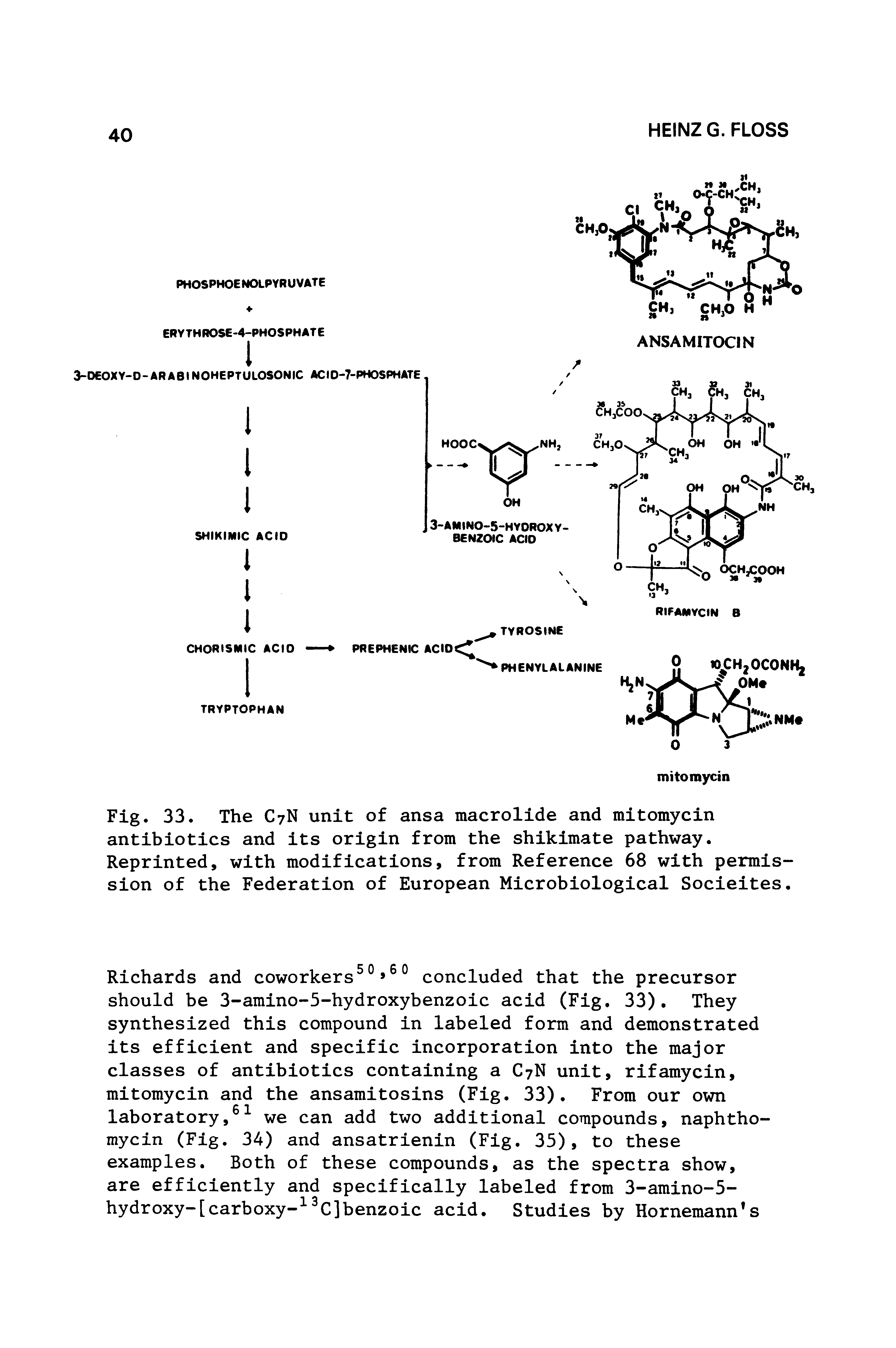 Fig. 33. The C7N unit of ansa macrolide and mitomycin antibiotics and its origin from the shikimate pathway. Reprinted, with modifications, from Reference 68 with permission of the Federation of European Microbiological Socieites.