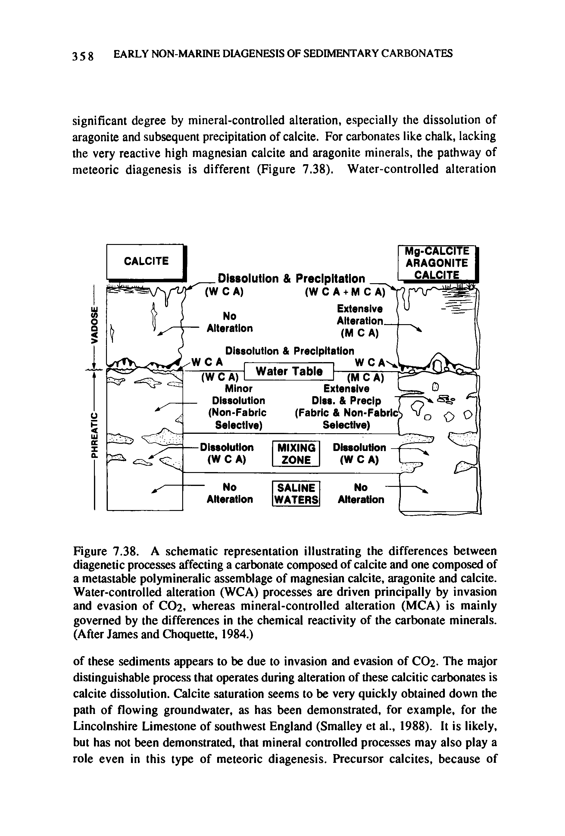 Figure 7.38. A schematic representation illustrating the differences between diagenetic processes affecting a carbonate composed of calcite and one composed of a metastable polymineralic assemblage of magnesian calcite, aragonite and calcite. Water-controlled alteration (WCA) processes are driven principally by invasion and evasion of CO2, whereas mineral-controlled alteration (MCA) is mainly governed by the differences in the chemical reactivity of the carbonate minerals. (After James and Choquette, 1984.)...
