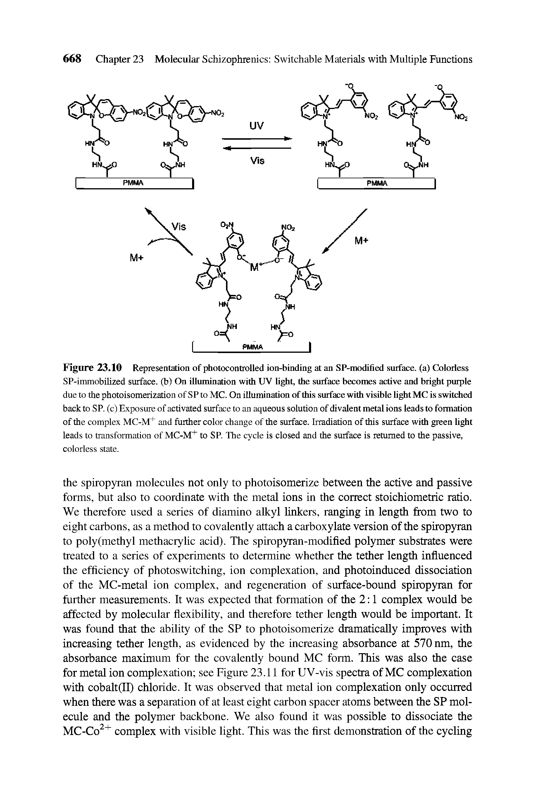 Figure 23.10 Representation of photocontrolled ion-binding at an SP-modified surface, (a) Colorless SP-immobilized surface, (b) On illumination with UV light, the surface becomes active and bright purple due to the photoisomerizalion of SPto MC. On illumination of this surface with visible light MC is switched back to SP. (c) Exposure of activated surface to an aqueous solution of divalent metal ions leads to formation of the complex MC-M+ and further color change of the surface. Irradiation of this surface with green light leads to transformation of MC-M+ to SP. The cycle is closed and the surface is returned to the passive, colorless state.