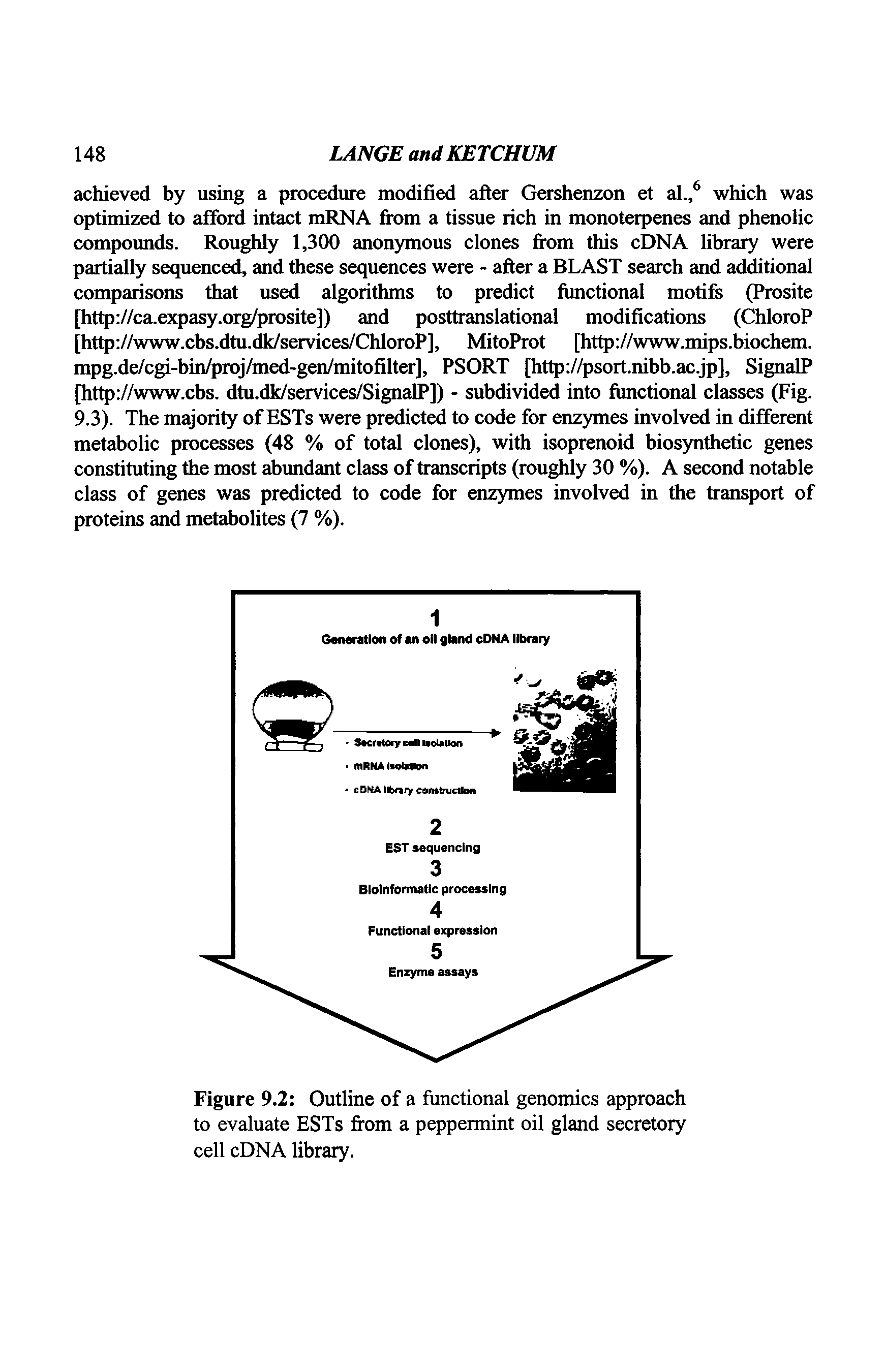 Figure 9.2 Outline of a functional genomics approach to evaluate ESTs from a peppermint oil gland secretory cell cDNA library.