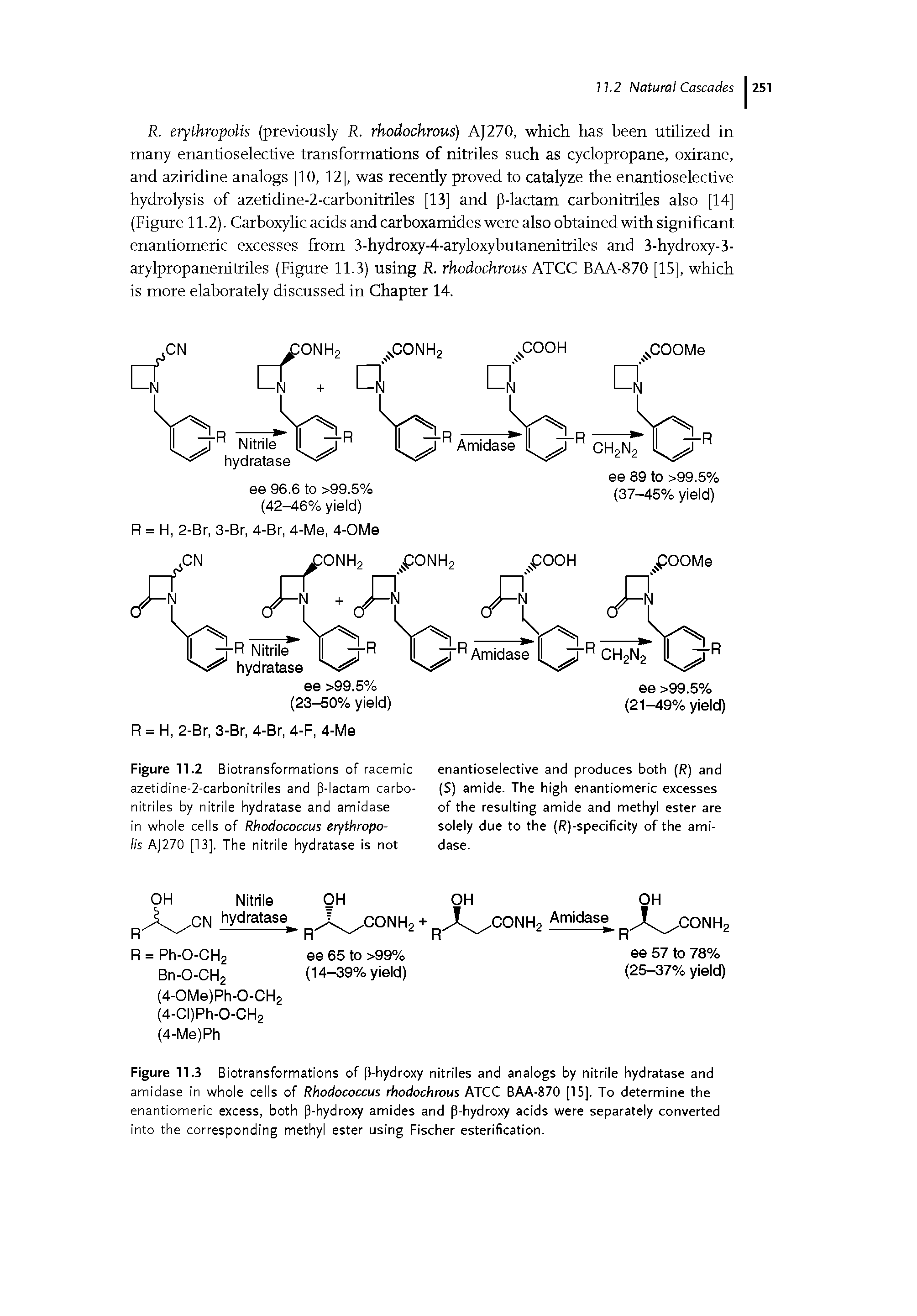 Figure 11.2 Biotransformations of racemic azetidine-2-carbonitriles and 3-lactam carbonitriles by nitrile hydratase and amidase in whole cells of Rhodococcus erythropolis A]270 [13]. The nitrile hydratase is not...