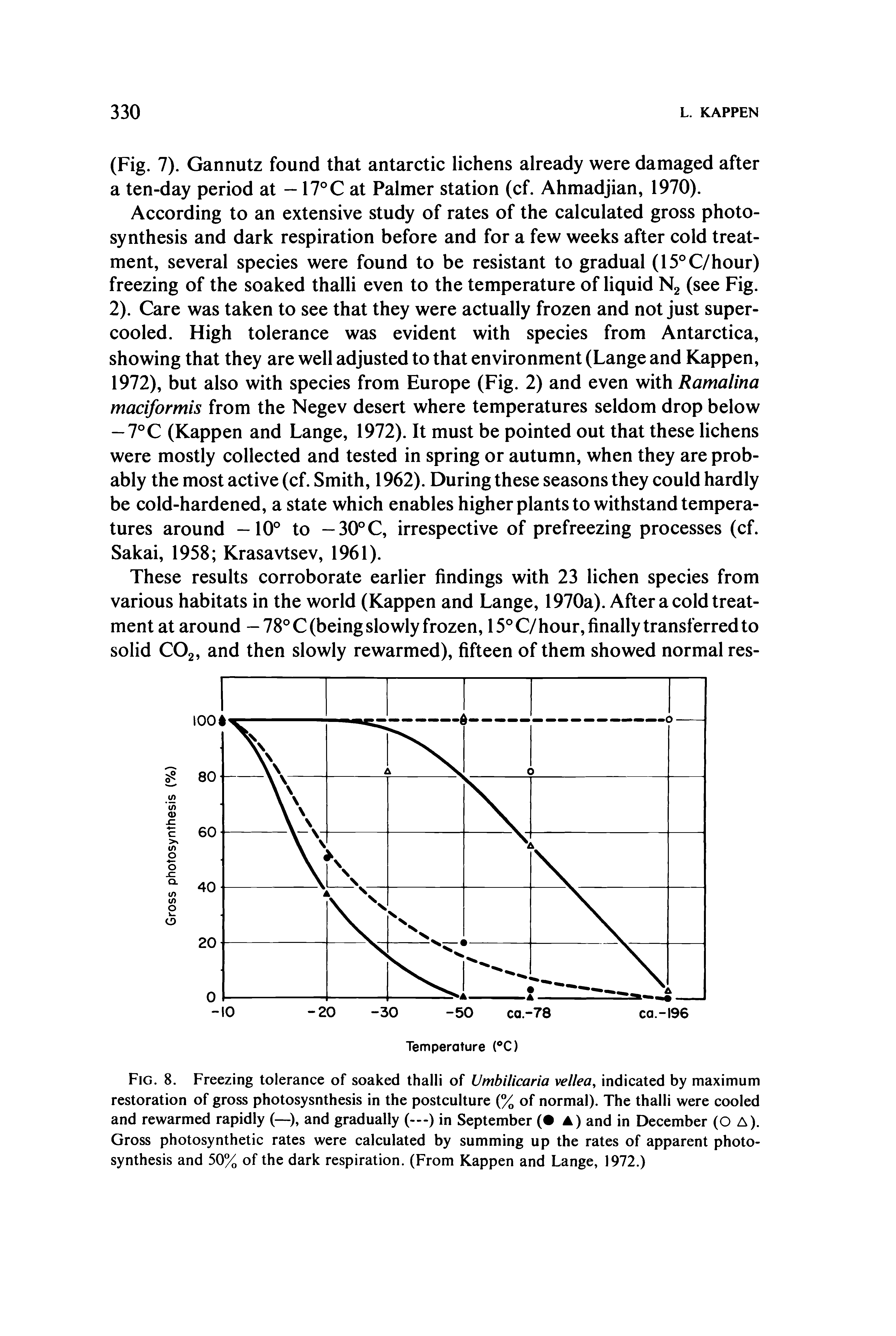 Fig. 8. Freezing tolerance of soaked thalli of Vmbilicaria vellea indicated by maximum restoration of gross photosysnthesis in the postculture (% of normal). The thalli were cooled and rewarmed rapidly (—and gradually (—) in September ( A) and in December (O A). Gross photosynthetic rates were calculated by summing up the rates of apparent photosynthesis and 50% of the dark respiration. (From Kappen and Lange, 1972.)...