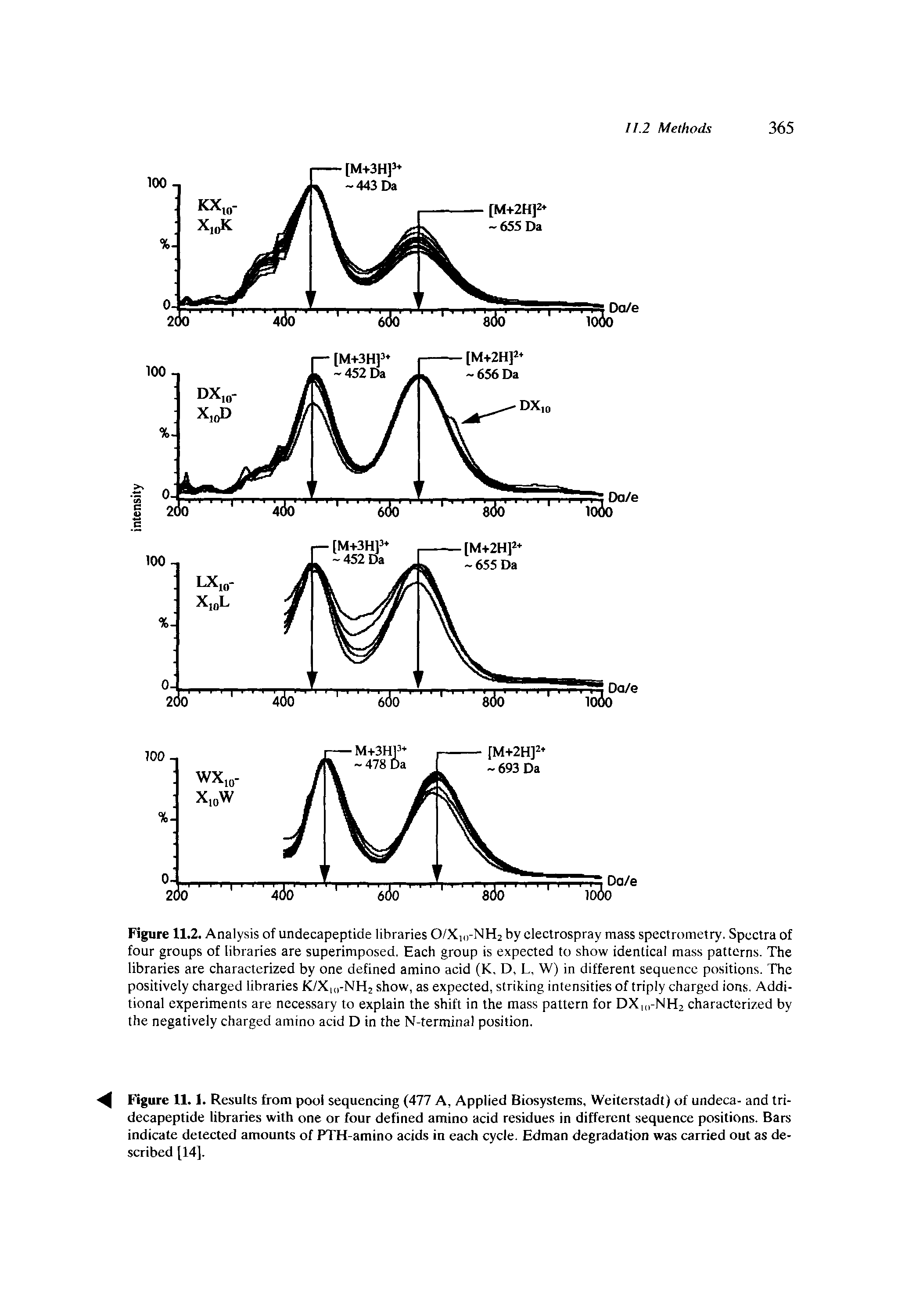 Figure 11.2. Analysis of undecapeptide libraries 0/XlirNH2 by electrospray mass spectrometry. Spectra of four groups of libraries are superimposed. Each group is expected to show identical mass patterns. The libraries are characterized by one defined amino acid (K, D, L, W) in different sequence positions. The positively charged libraries K/X, -NH2 show, as expected, striking intensities of triply charged ions. Additional experiments are necessary to explain the shift in the mass pattern for DXurNH2 characterized by the negatively charged amino acid D in the N-terminal position.