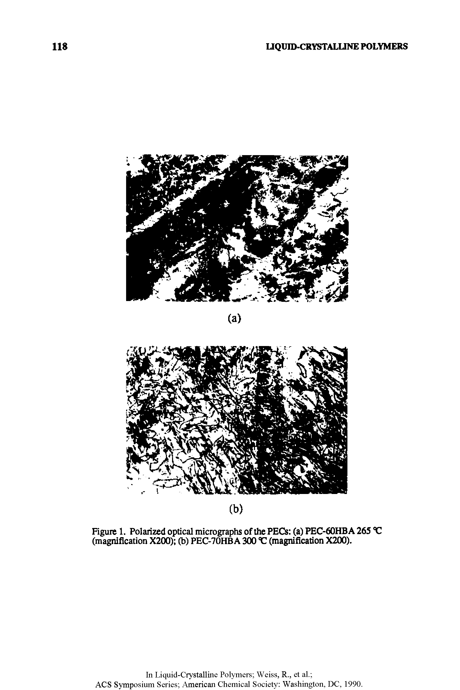 Figure 1. Polarized optical micrographs of the PECs (a) PEC-60HBA 265 C (magnification X200) (b) PEC-70HB A 300 °C (magnification X200).