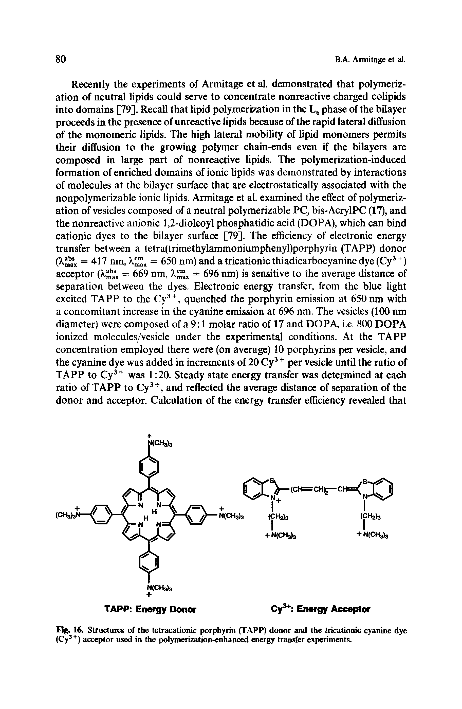 Fig. 16. Structures of the tetracationic porphyrin (TAPP) donor and the tricationic cyanine dye (Cy3+) acceptor used in the polymerization-enhanced energy transfer experiments.