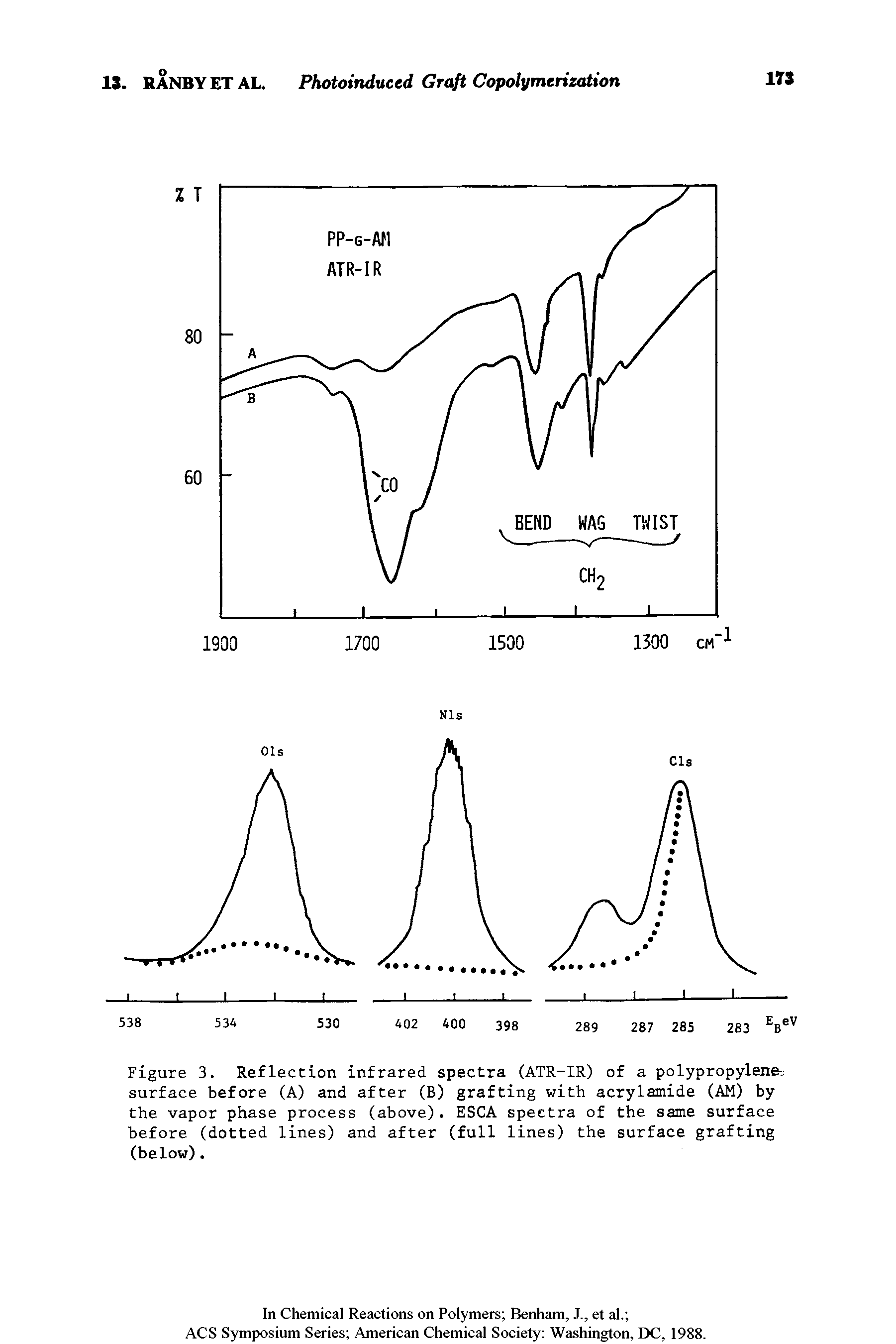 Figure 3. Reflection infrared spectra (ATR-IR) of a polypropylene-j surface before (A) and after (B) grafting with acrylamide (AM) by the vapor phase process (above). ESCA spectra of the same surface before (dotted lines) and after (full lines) the surface grafting (below).