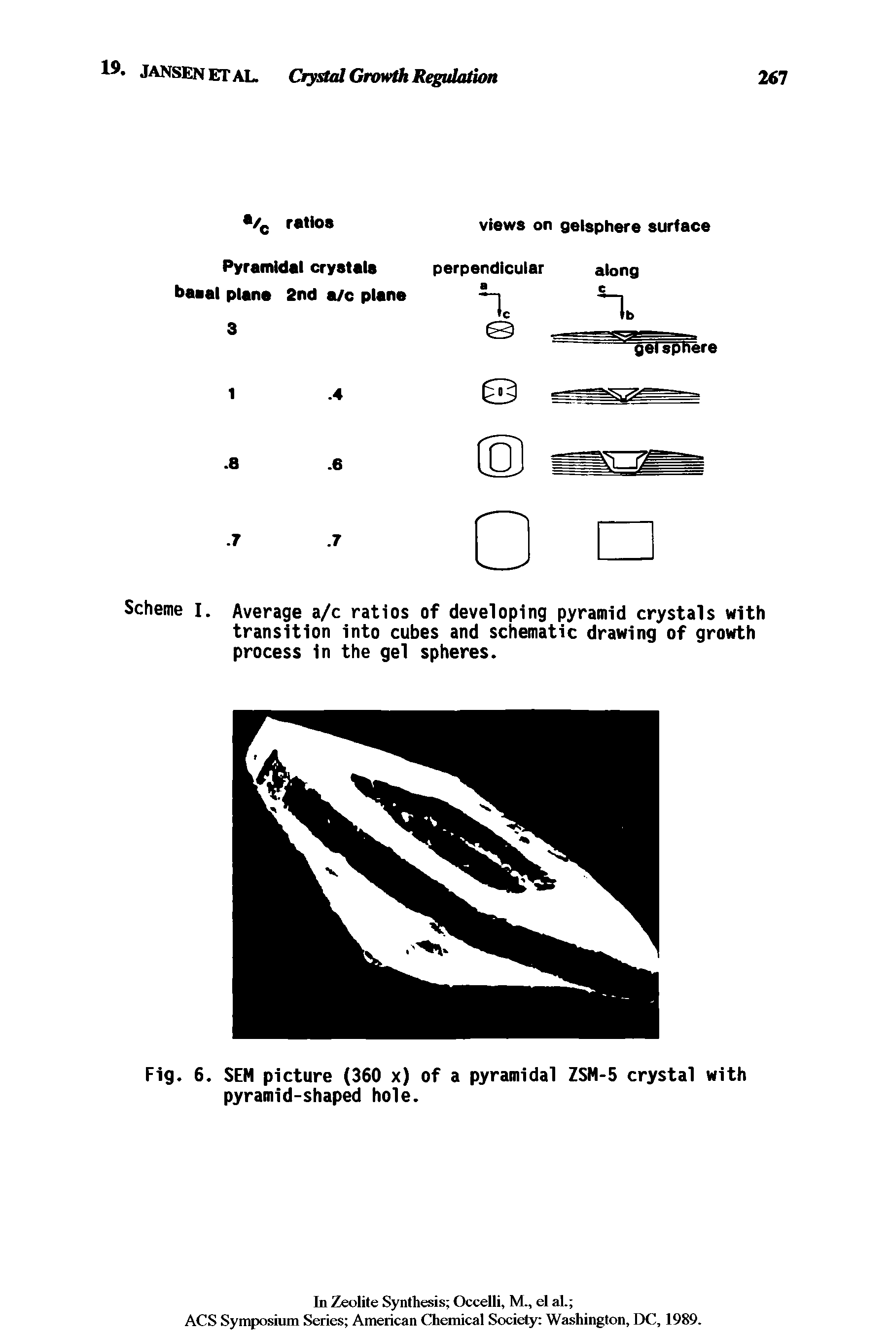 Scheme I. Average a/c ratios of developing pyramid crystals with transition into cubes and schematic drawing of growth process in the gel spheres.