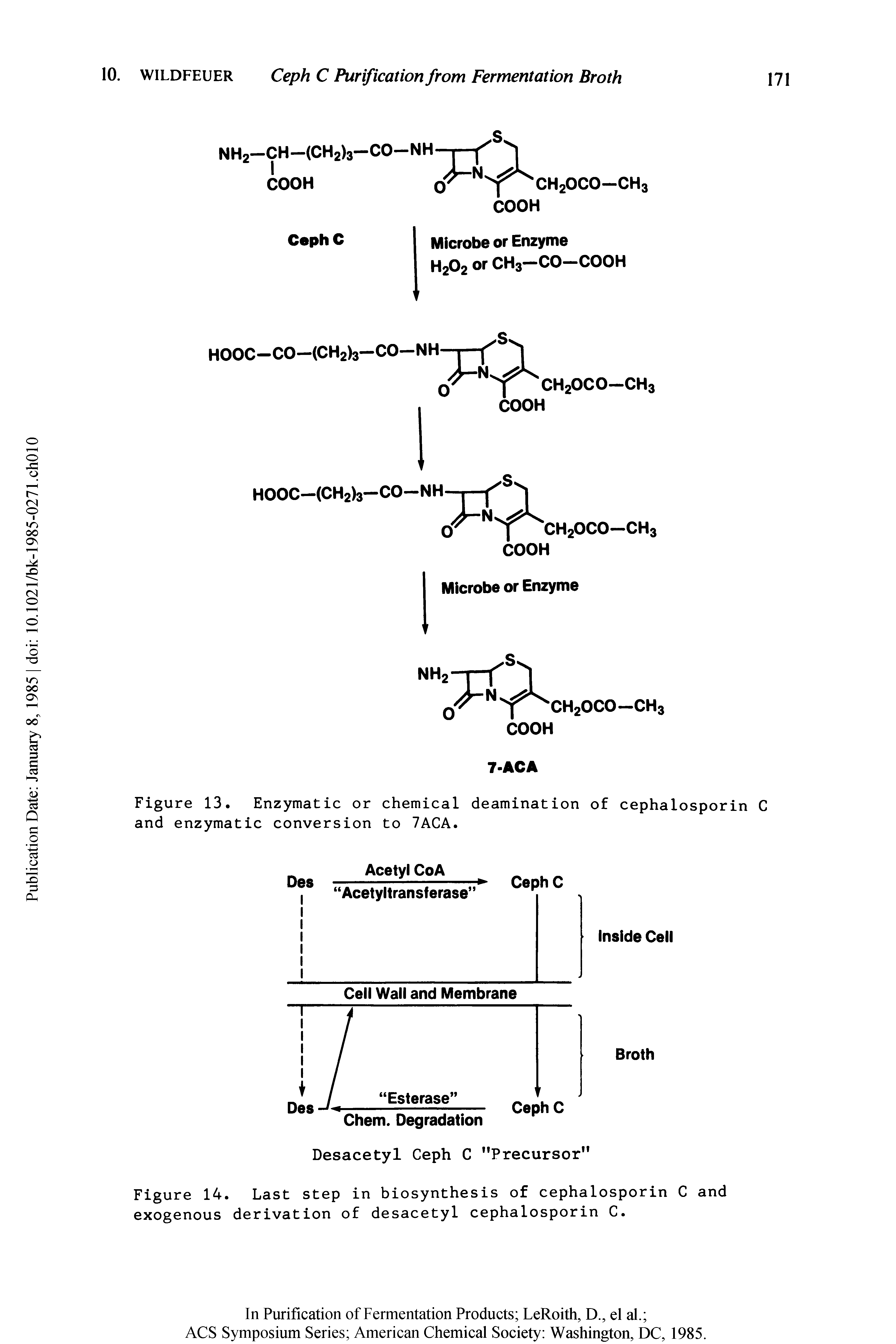 Figure 13. Enzymatic or chemical deamination of cephalosporin C and enzymatic conversion to 7ACA.