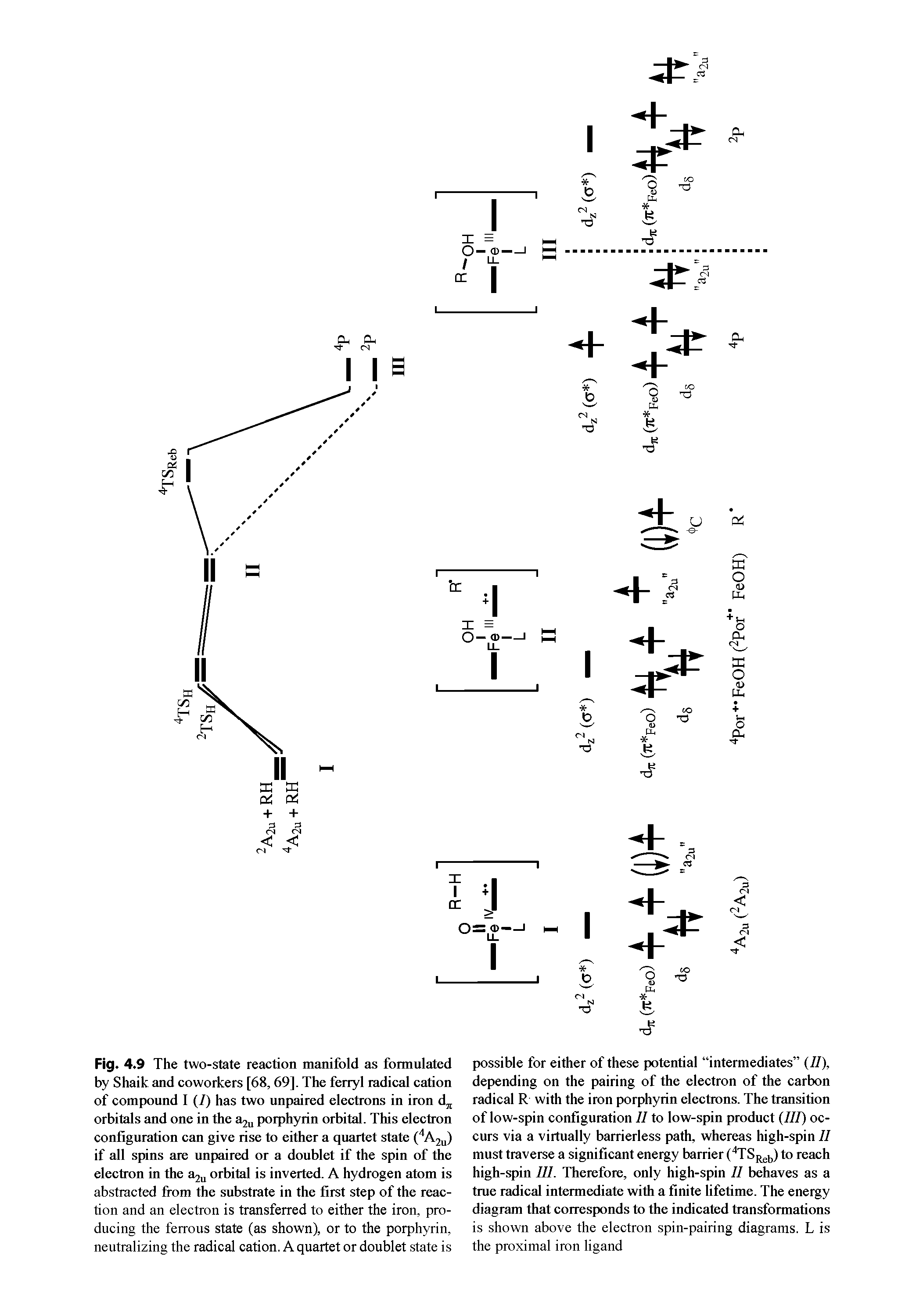 Fig. 4.9 The two-state reaction manifold as formulated by Shade and coworkers [68,69]. The ferryl radical cation of compound I (7) has two unpaired electrons in iron d orbitals and one in the Si2u porphyrin orbital. This electron configuration can give rise to either a quartet state ( Aju) if all spins are unpaired or a doublet if the spin of the electron in the aju orbital is inverted. A hydrogen atom is abstracted fi om the substrate in the first step of the reaction and an electron is transferred to either the iron, producing the ferrous state (as shown), or to the porphyrin, neutralizing the radical cation. A quartet or doublet state is...