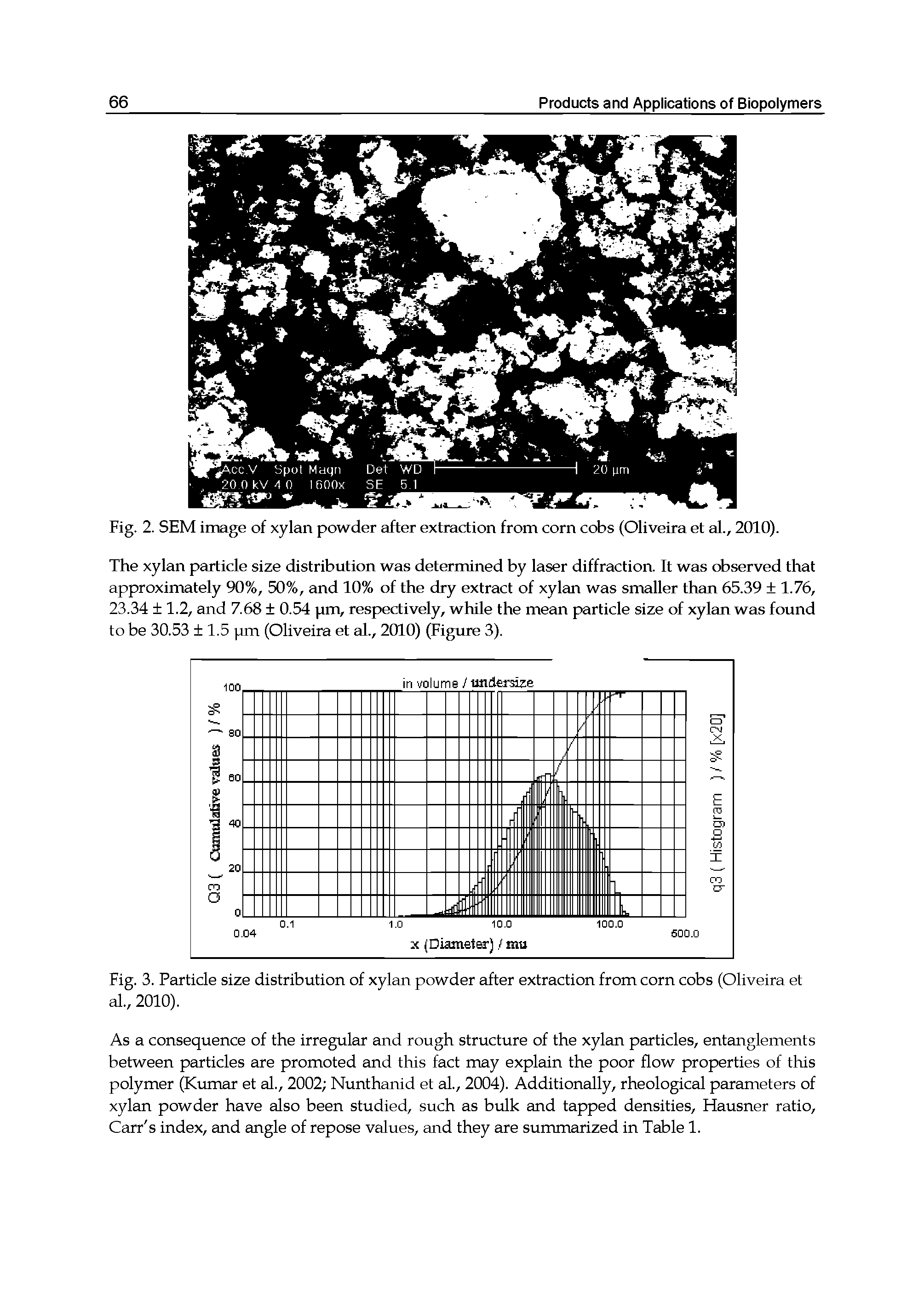 Fig. 2. SEM image of xylan powder after extraction from corn cobs (Oliveira et al., 2010).