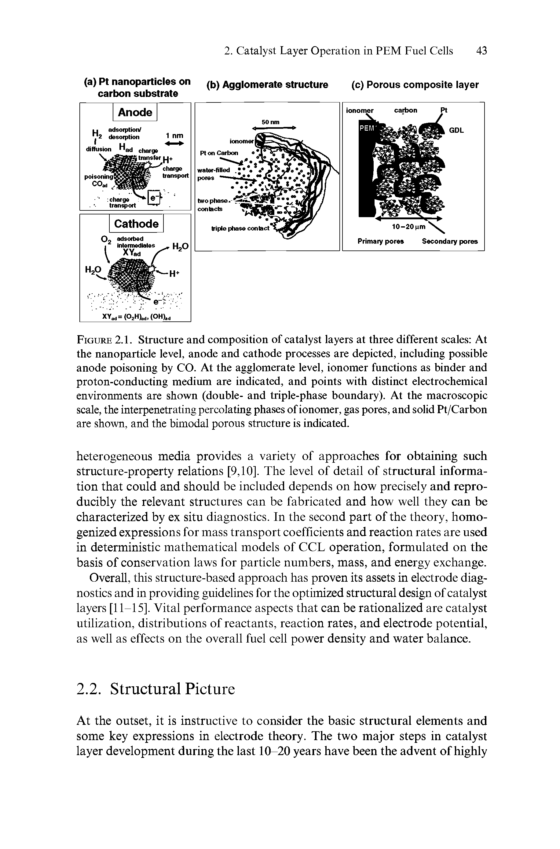 Figure 2.1. Structure and composition of catalyst layers at three different scales At the nanoparticle level, anode and cathode processes are depicted, including possible anode poisoning by CO. At the agglomerate level, ionomer functions as binder and proton-conducting medium are indicated, and points with distinct electrochemical environments are shown (double- and triple-phase boundary). At the macroscopic scale, the interpenetrating percolating phases of ionomer, gas pores, and solid Pt/Carbon are shown, and the bimodal porous structure is indicated.