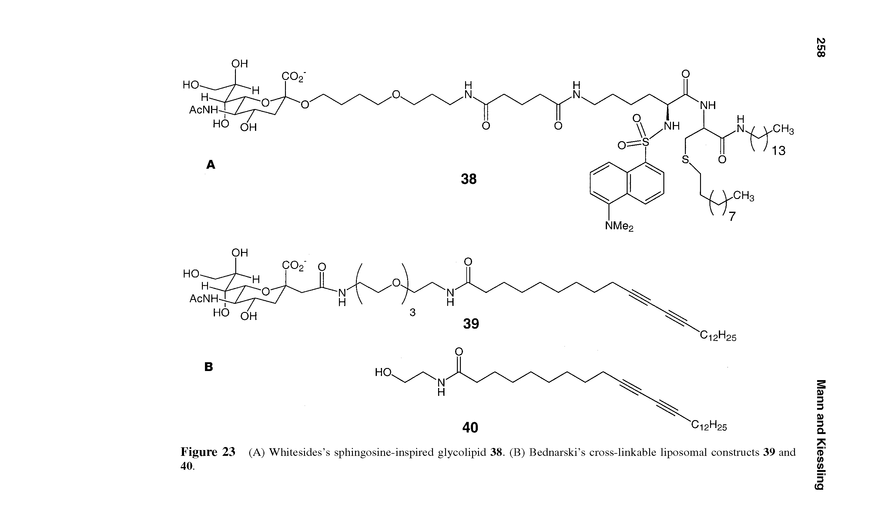 Figure 23 (A) Whitesides s sphingosine-inspired glycolipid 38. (B) Bednarski s cross-linkable liposomal constructs 39 and...