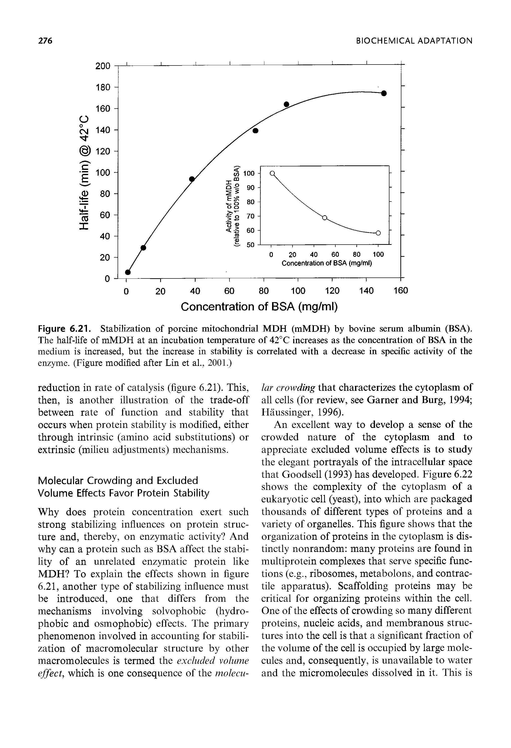 Figure 6.21. Stabilization of porcine mitochondrial MDH (mMDH) by bovine serum albumin (BSA). The half-life of mMDH at an incubation temperature of 42°C increases as the concentration of BSA in the medium is increased, but the increase in stability is correlated with a decrease in specific activity of the enzyme. (Figure modified after Lin et al., 2001.)...