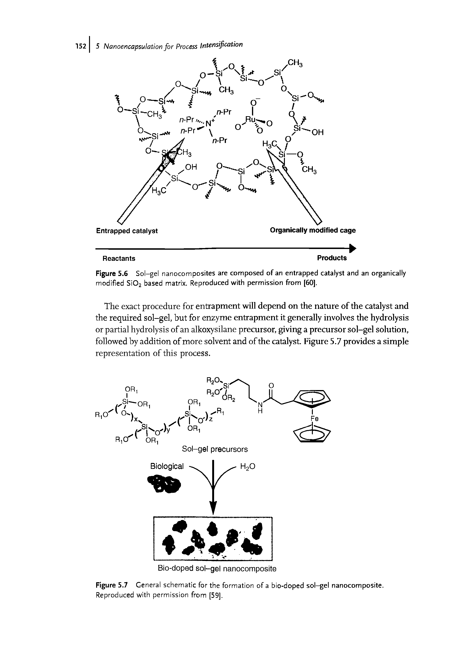 Figure 5.7 General schematic for the formation of a bio-doped sol—gel nanocomposite. Reproduced with permission from [59],...