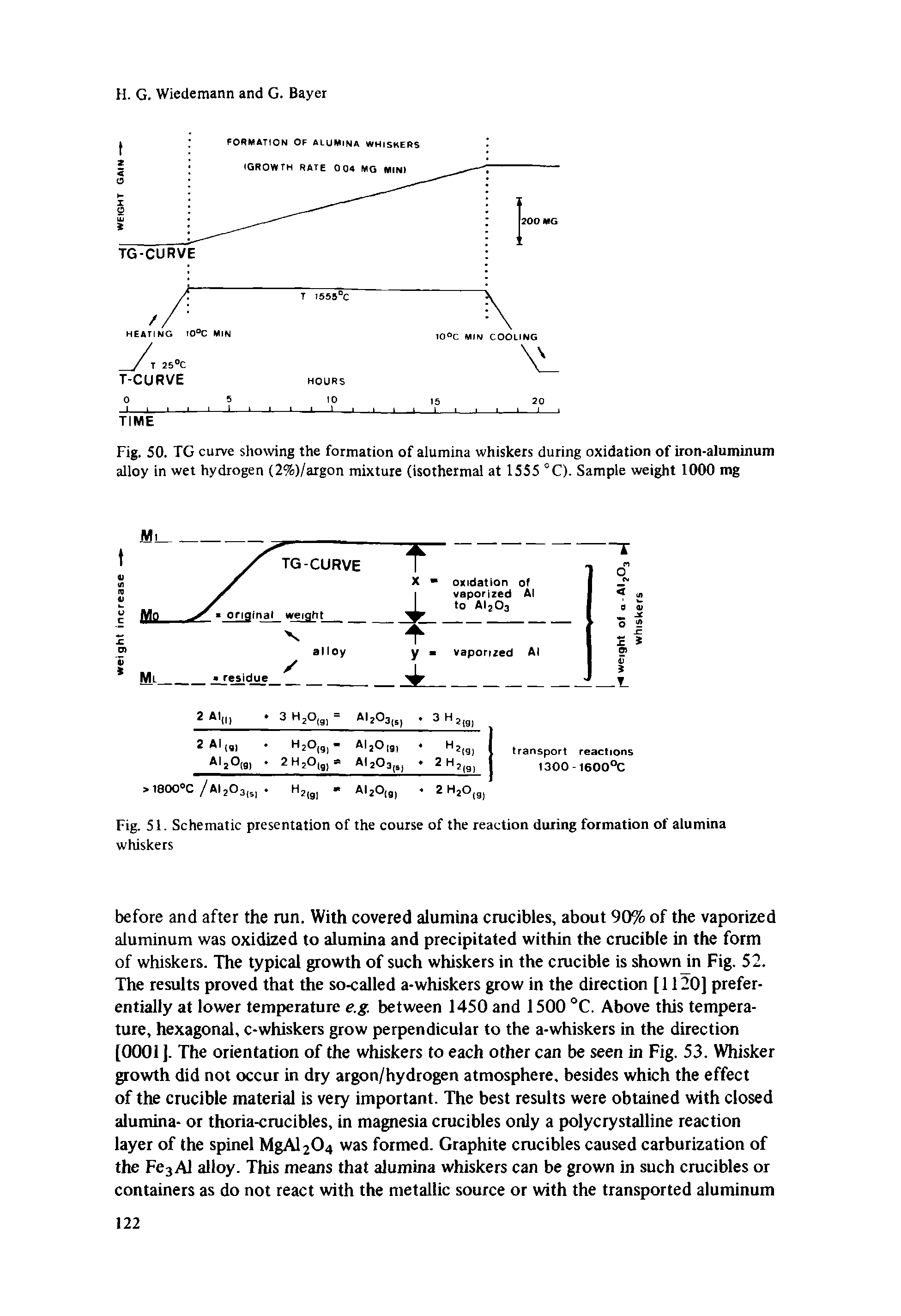 Fig. 50. TG curve showing the formation of alumina whiskers during oxidation of iron-aluminum alloy in wet hydrogen (2%)/argon mixture (isothermal at 1555 °C). Sample weight 1000 mg...