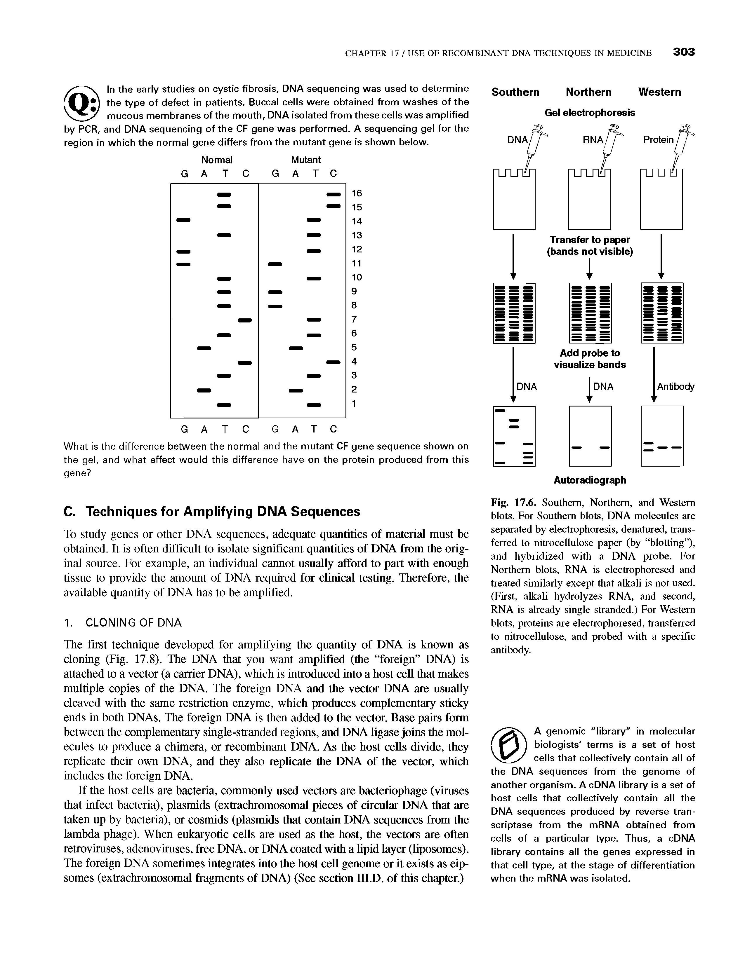 Fig. 17.6. Southern, Northern, and Western blots. For Southern blots, DNA molecules are separated by electrophoresis, denatured, transferred to nitrocellulose paper (by blotting ), and hybridized with a DNA probe. For Northern blots, RNA is electrophoresed and treated similarly except that alkali is not used. (First, alkali hydrolyzes RNA, and second, RNA is already single stranded.) For Western blots, proteins are electrophoresed, transferred to nitrocellulose, and probed with a specific antibody.