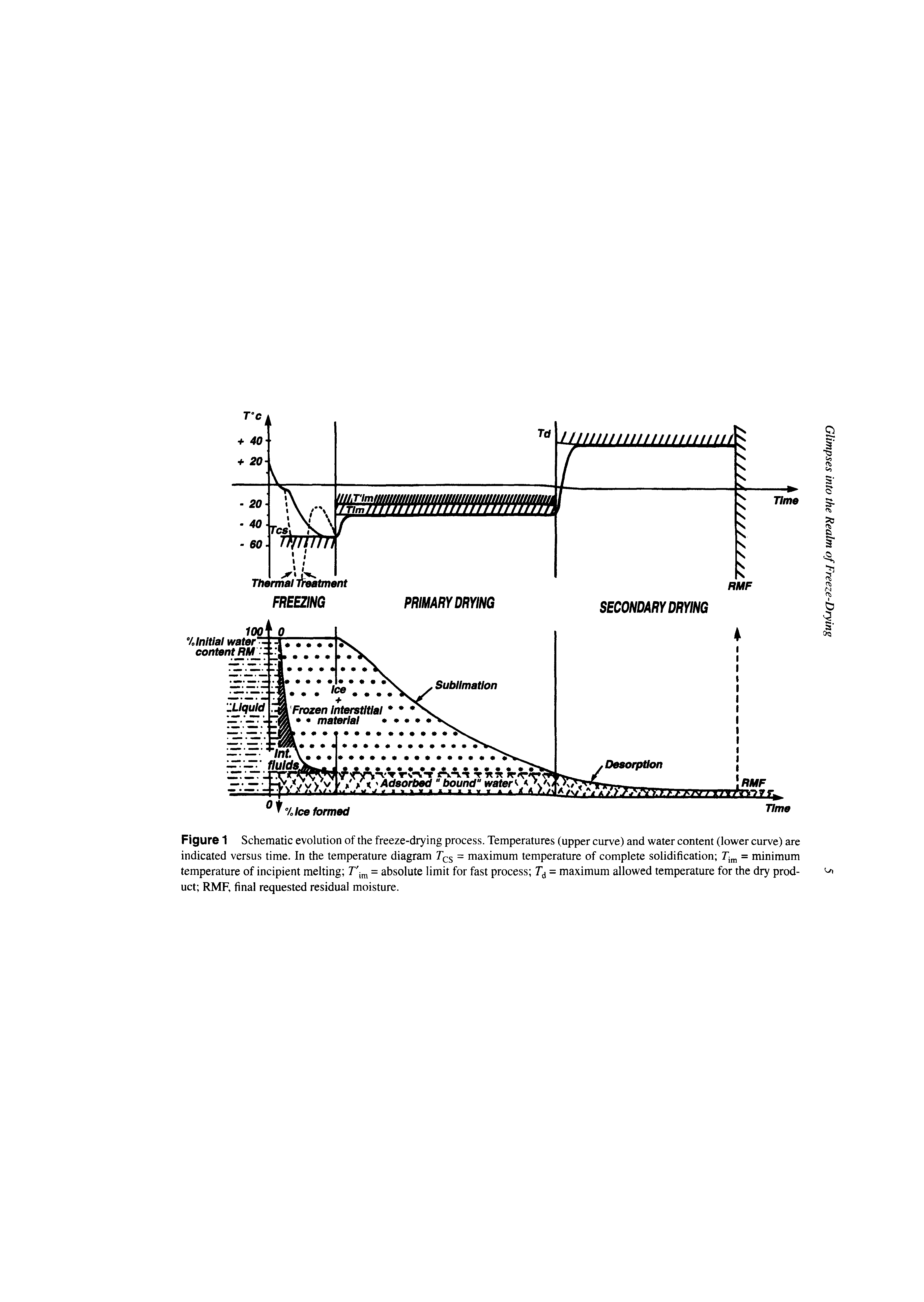 Figure 1 Schematic evolution of the freeze-drying process. Temperatures (upper curve) and water content (lower curve) are indicated versus time. In the temperature diagram cs = maximum temperature of complete solidification 7 = minimum temperature of incipient melting = absolute limit for fast process = maximum allowed temperature for the dry product RMF, final requested residual moisture.