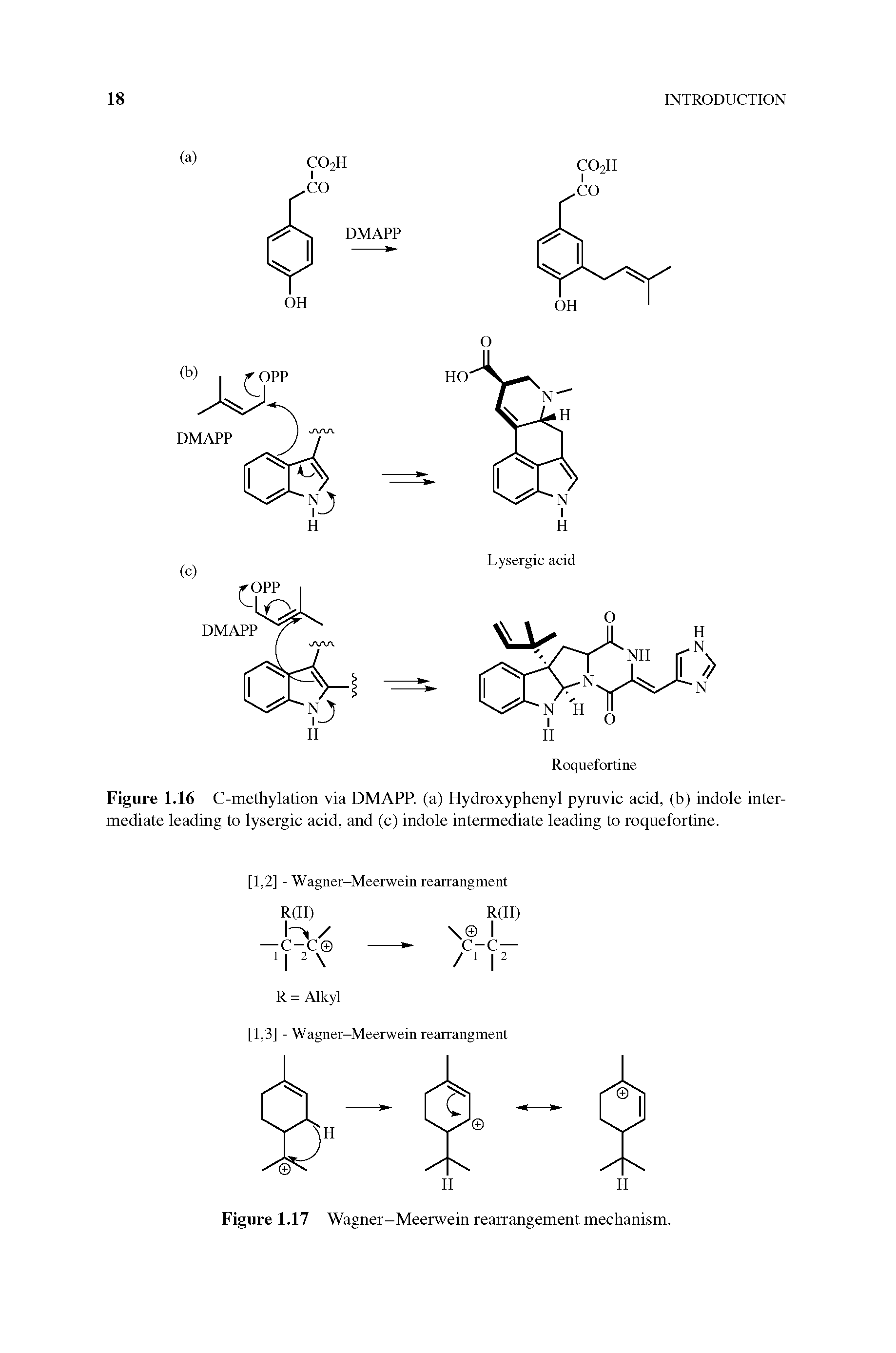Figure 1.16 C-methylation via DMAPP. (a) Hydroxyphenyl pyruvic acid, (b) indole intermediate leading to lysergic acid, and (c) indole intermediate leading to roquefortine.