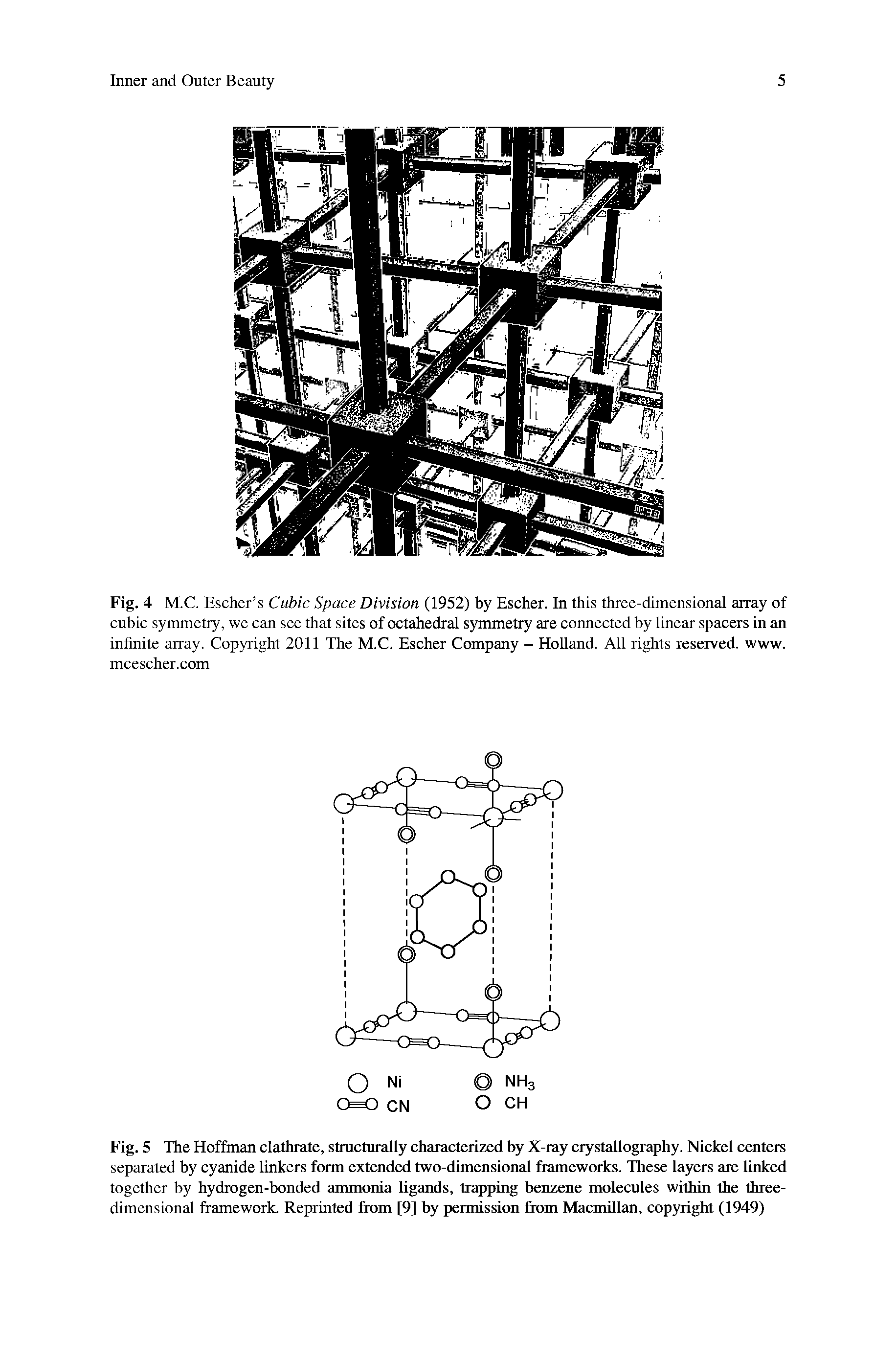 Fig. 5 The Hoffman clathrate, structurally characterized by X-ray crystallography. Nickel centers separated by cyanide linkers form extended two-dimensional frameworks. These layers are linked together by hydrogen-bonded ammonia ligands, trapping benzene molecules within the three-dimensional framework. Reprinted from [9] by permission from Macmillan, copyright (1949)...