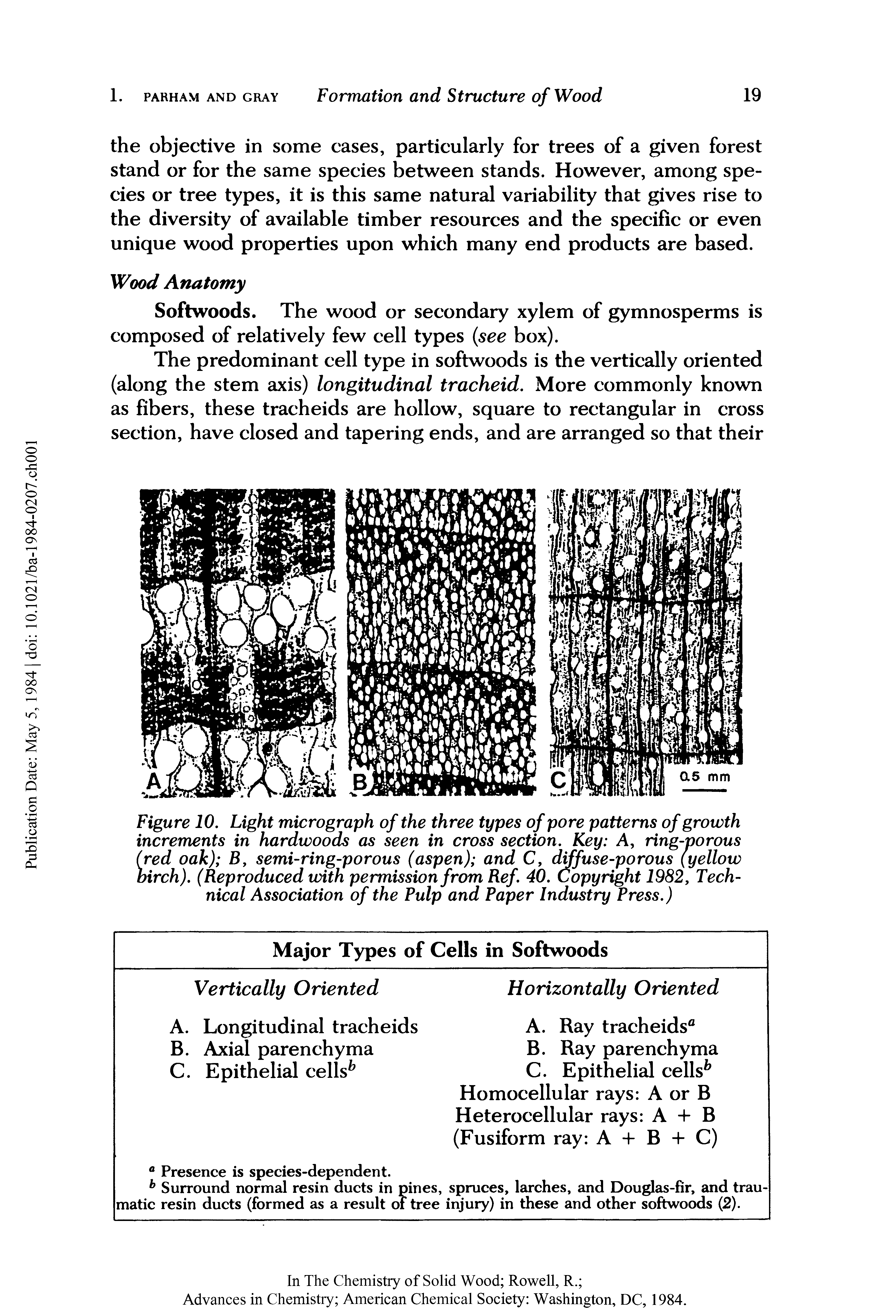 Figure 10. Light micrograph of the three types of pore patterns of growth increments in hardwoods as seen in cross section. Key A, ring-porous (red oak) B, semi-ring-porous (aspen) and C, diffuse-porous (yellow birch). (Reproduced with permission from Ref. 40. Copyright 1982, Technical Association of the Pulp and Paper Industry Press.)...