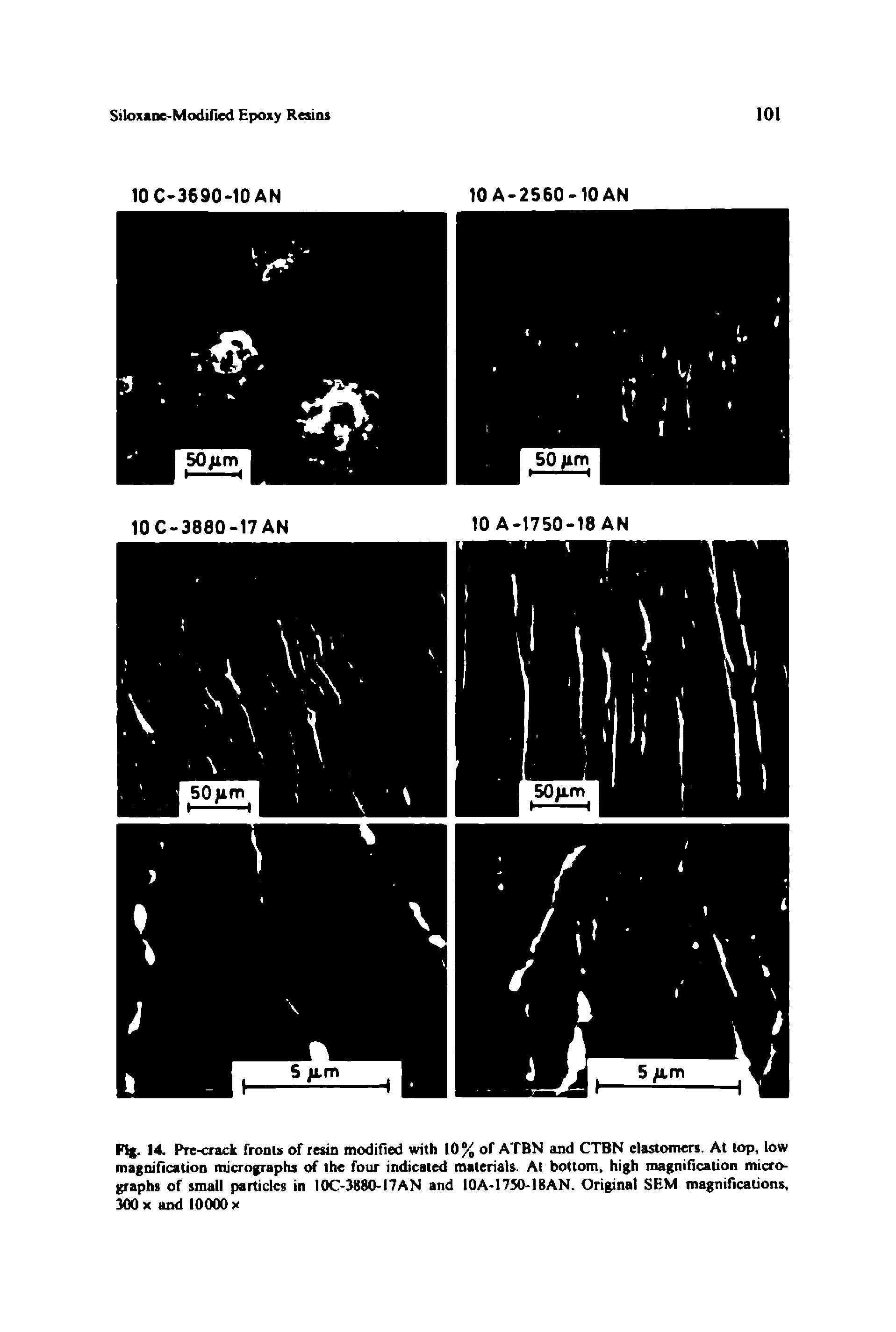 Fig. 14. Pre-crack fronts of resin modified with 10% of ATBN and CTBN elastomers. At top, low magnification micrographs of the four indicated materials. At bottom, high magnification micrographs of small particles in 10C-3880-I7AN and 10A-1750-18AN. Original SEM magnifications, 300 x and 10000 x...