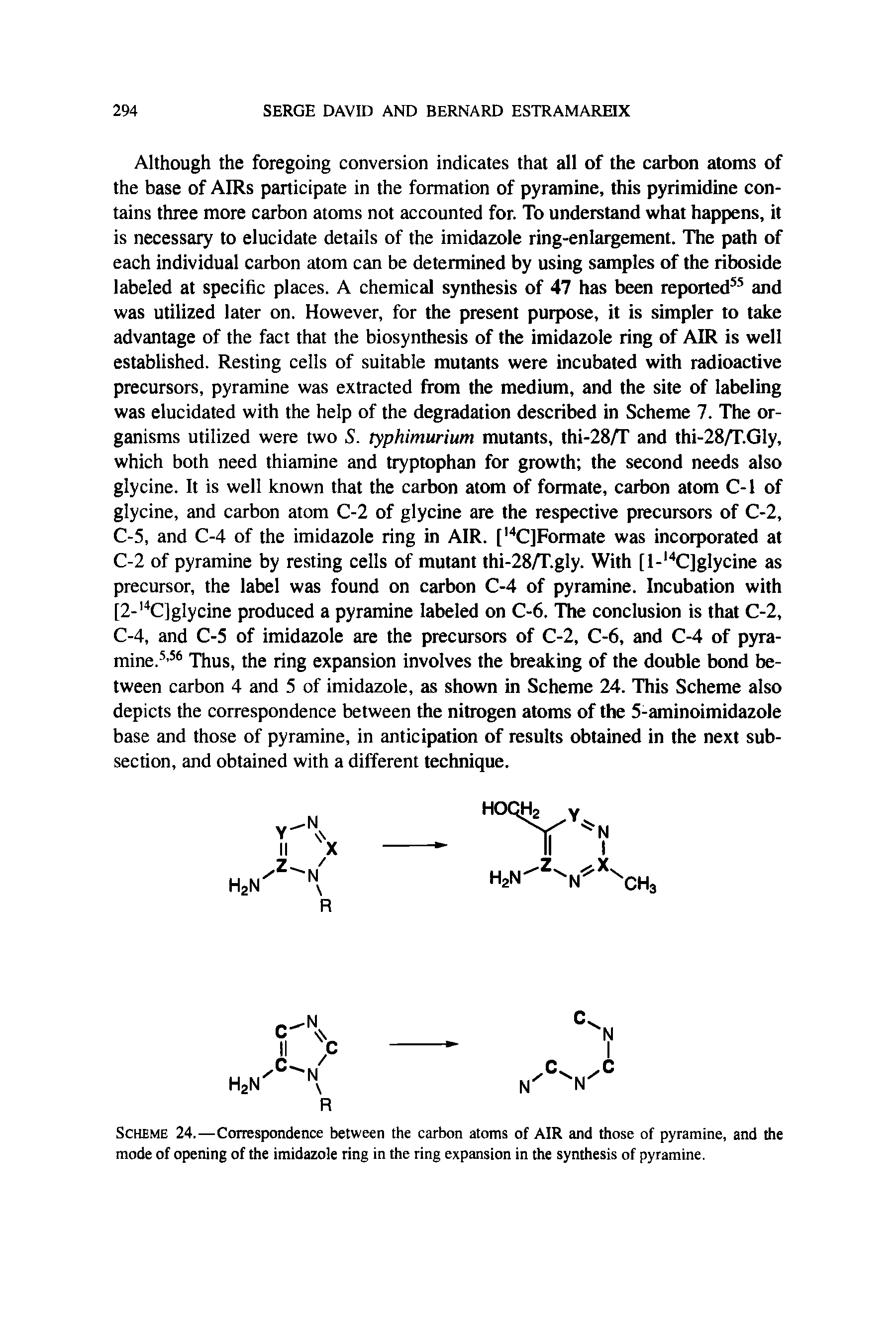 Scheme 24.—Correspondence between the carbon atoms of AIR and those of pyramine, and the mode of opening of the imidazole ring in the ring expansion in the synthesis of pyramine.