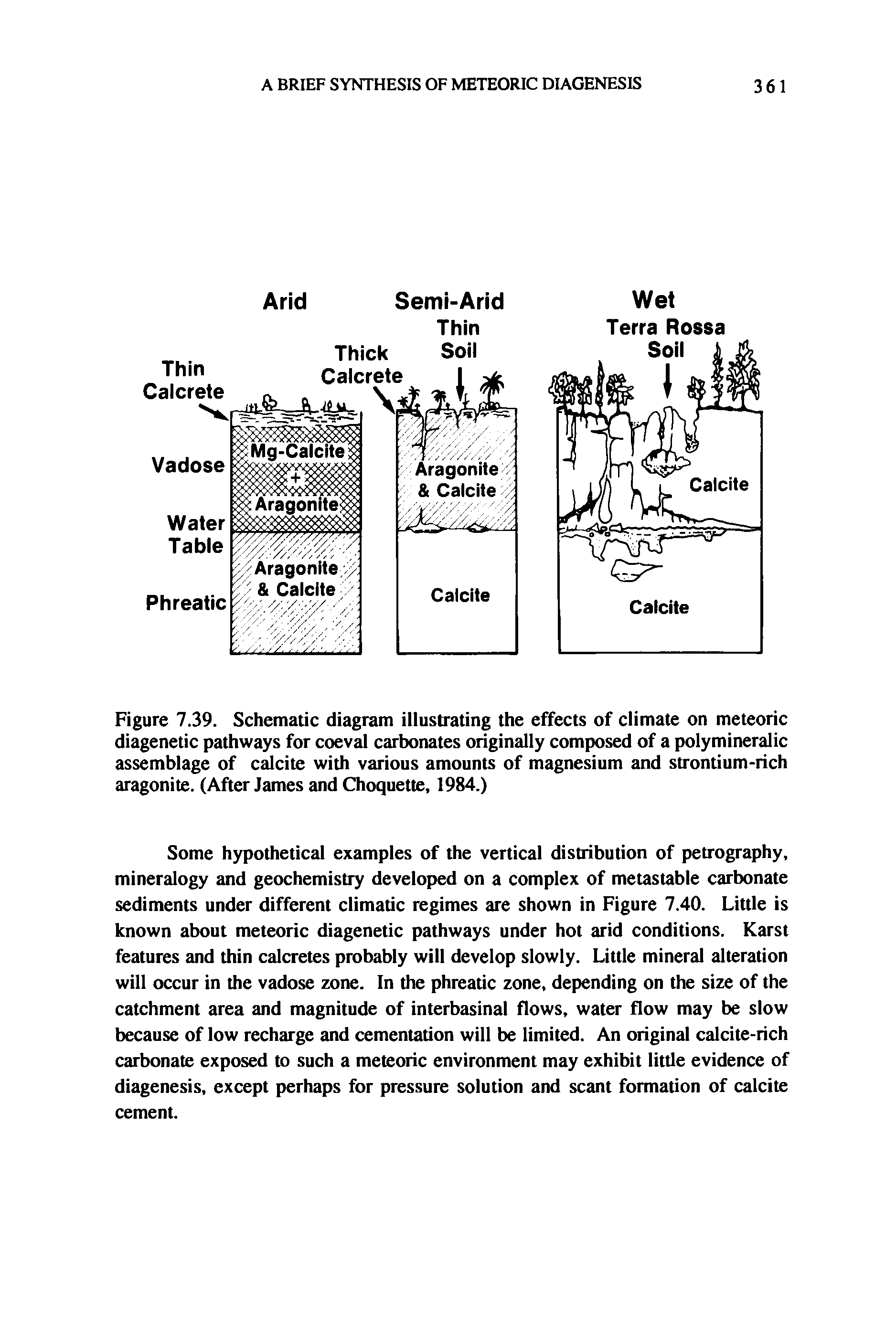 Figure 7.39. Schematic diagram illustrating the effects of climate on meteoric diagenetic pathways for coeval carbonates originally composed of a polymineralic assemblage of calcite with various amounts of magnesium and strontium-rich aragonite. (After James and Choquette, 1984.)...