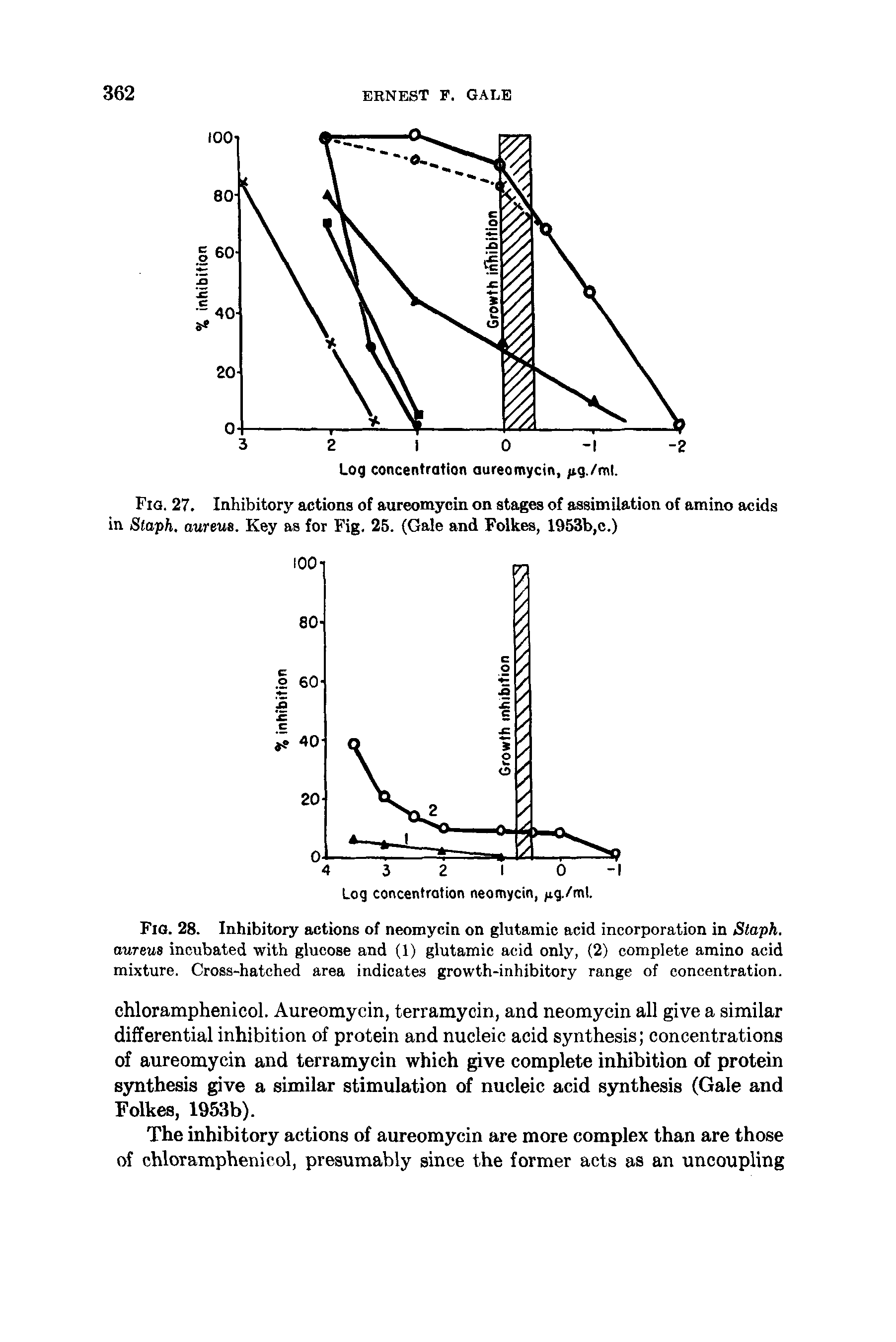 Fig. 28. Inhibitory actions of neomycin on glutamic acid incorporation in Staph, aureus incubated with glucose and (1) glutamic acid only, (2) complete amino acid mixture. Cross-hatched area indicates growth-inhibitory range of concentration.