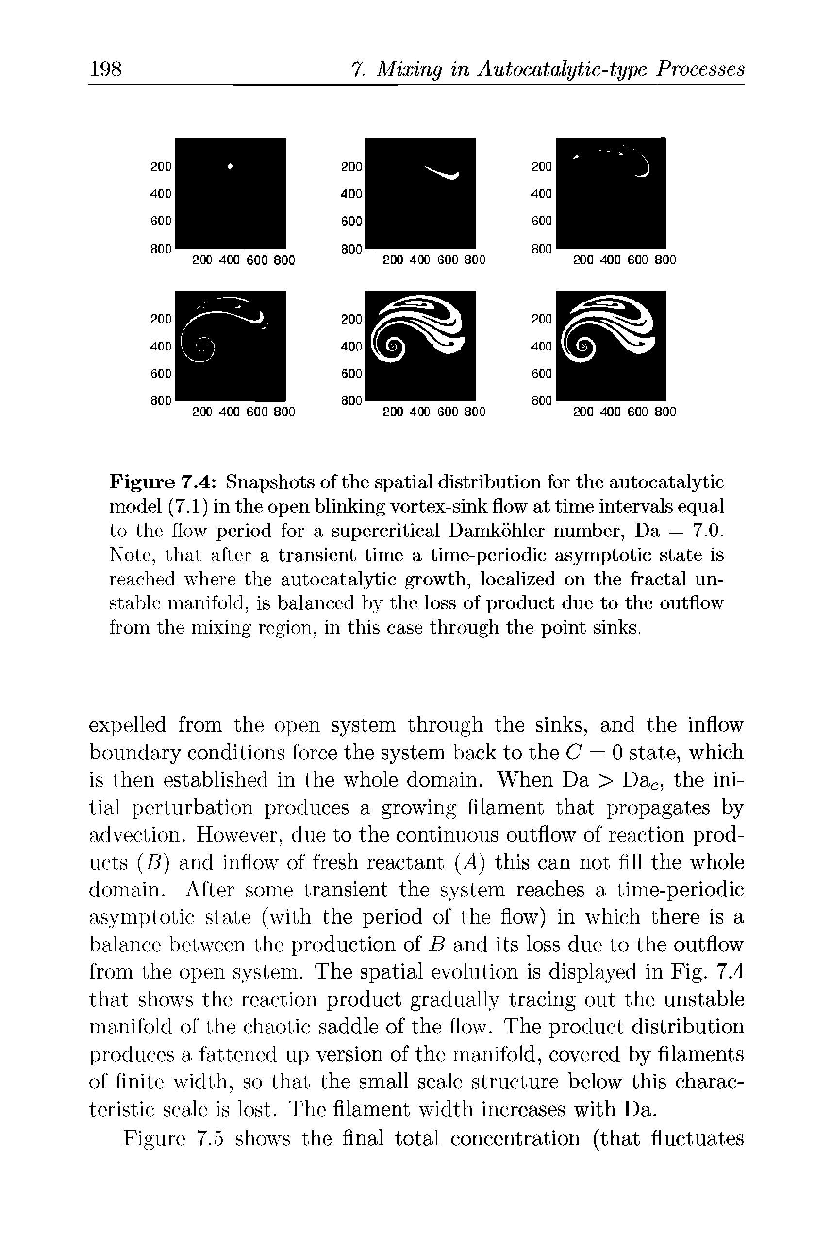 Figure 7.4 Snapshots of the spatial distribution for the autocatalytic model (7.1) in the open blinking vortex-sink flow at time intervals equal to the flow period for a supercritical Damkohler number, Da = 7.0. Note, that after a transient time a time-periodic asymptotic state is reached where the autocatalytic growth, localized on the fractal unstable manifold, is balanced by the loss of product due to the outflow from the mixing region, in this case through the point sinks.
