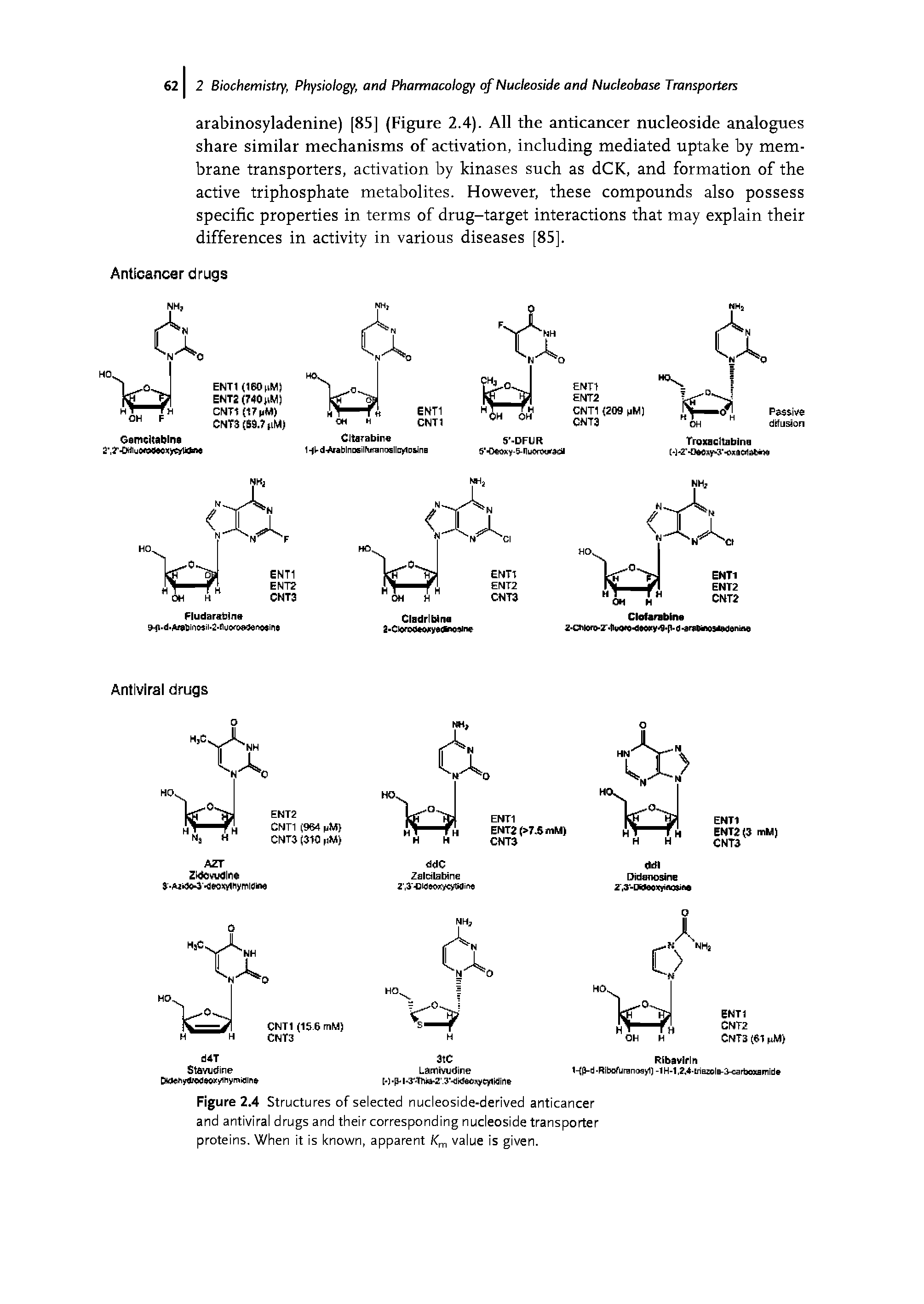 Figure 2.4 Structures of selected nucleoside-derived anticancer and antiviral drugs and their corresponding nucleoside transporter proteins. When it is known, apparent value is given.