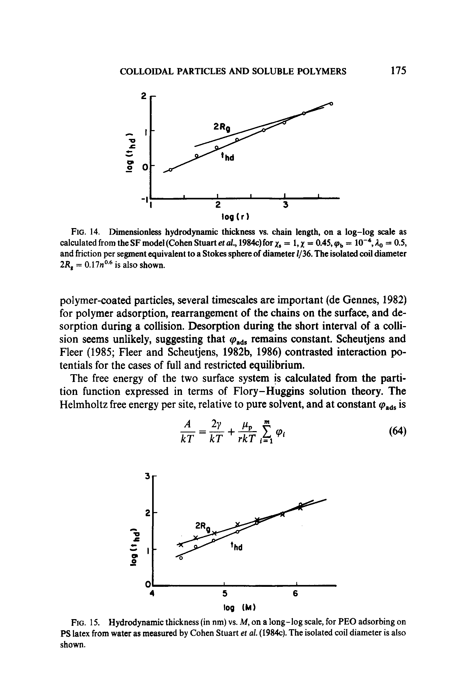 Fig. 14. Dimensionless hydrodynamic thickness vs. chain length, on a log-log scale as calculated from the SF model (Cohen Stuart et al., 1984c) for y, = 1, y = 0.45, <pb = 10 4, A0 = 0.5, and friction per segment equivalent to a Stokes sphere of diameter 1/36. The isolated coil diameter 2Rt = 0.17n06 is also shown.