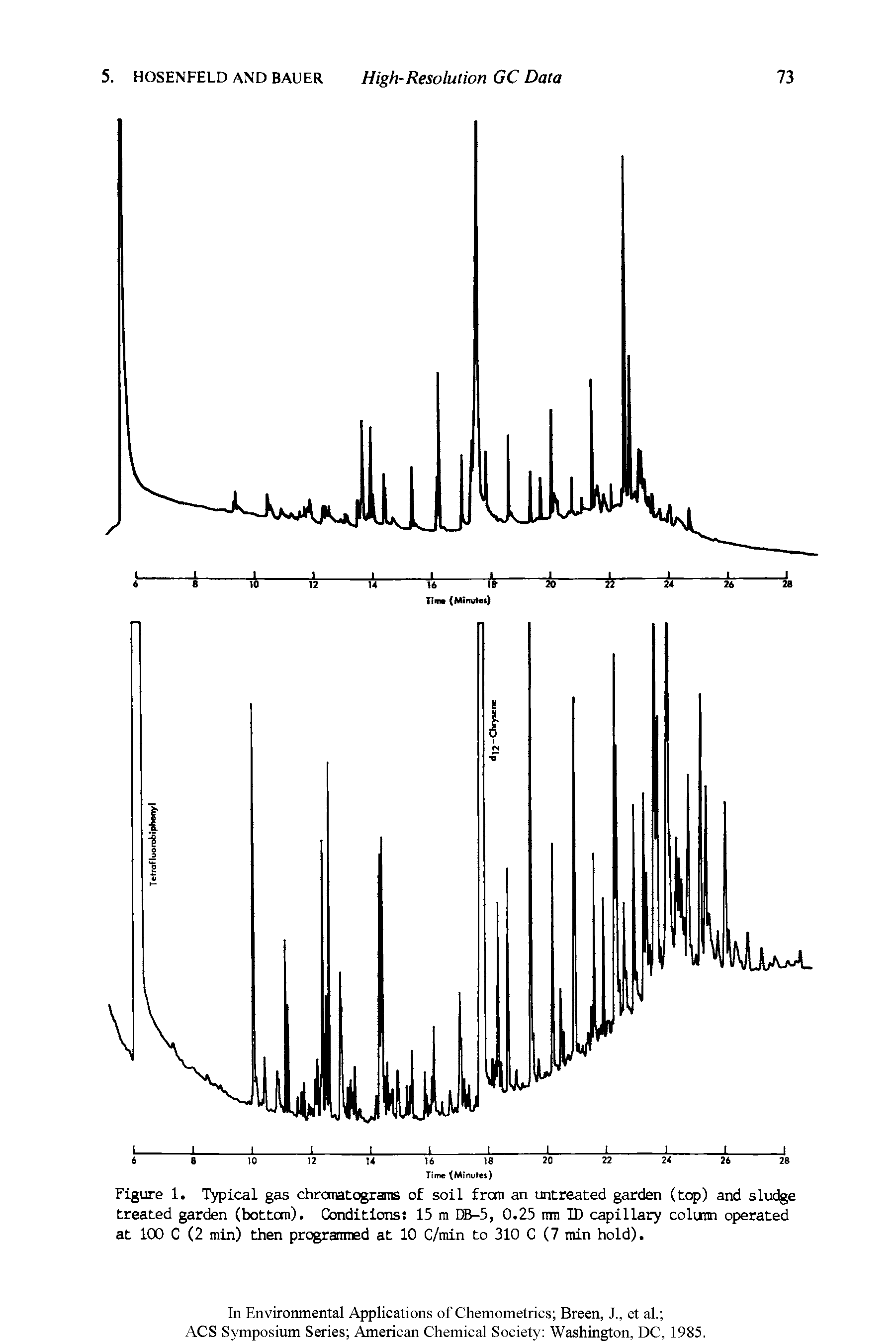 Figure 1. Typical gas chromatograms of soil frcm an untreated garden (top) and sludge treated garden (bottcm). Conditions 15 m DB-5, 0.25 nm ID capillary colimn operated at 100 C (2 min) then programned at 10 C/min to 310 C (7 min hold).