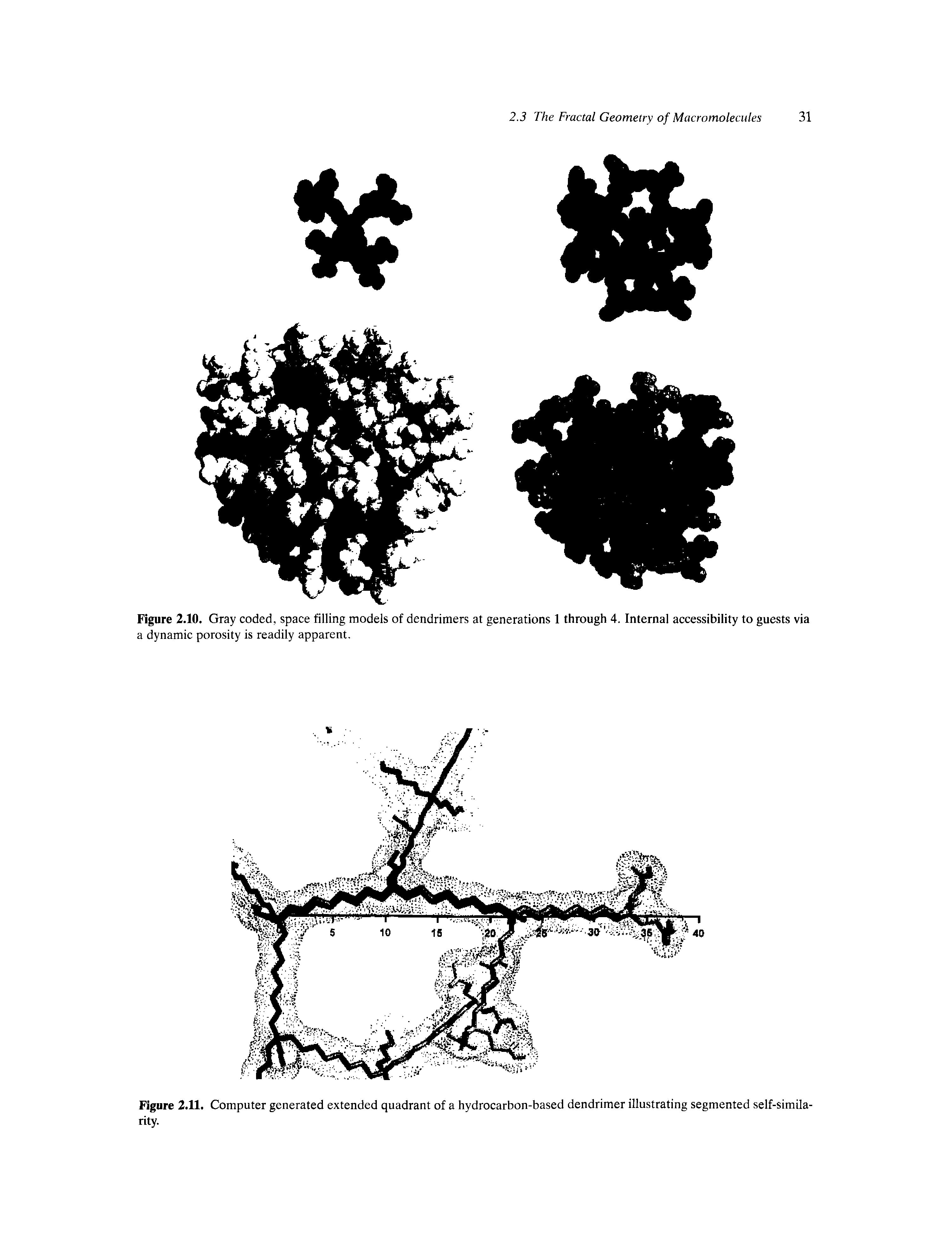 Figure 2.11. Computer generated extended quadrant of a hydrocarbon-based dendrimer illustrating segmented self-similarity.