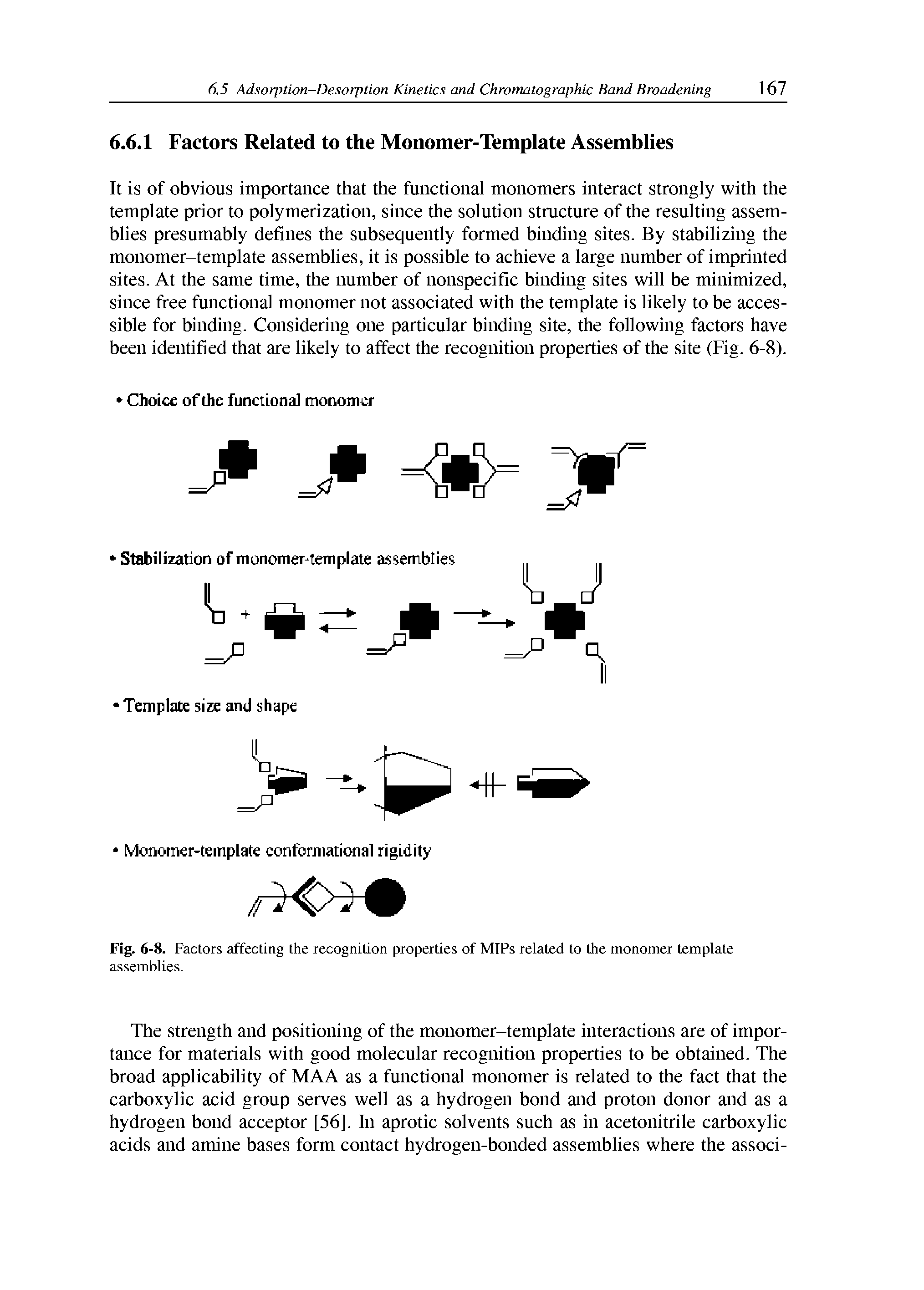 Fig. 6-8. Factors affecting the recognition properties of MIPs related to the monomer template assemblies.