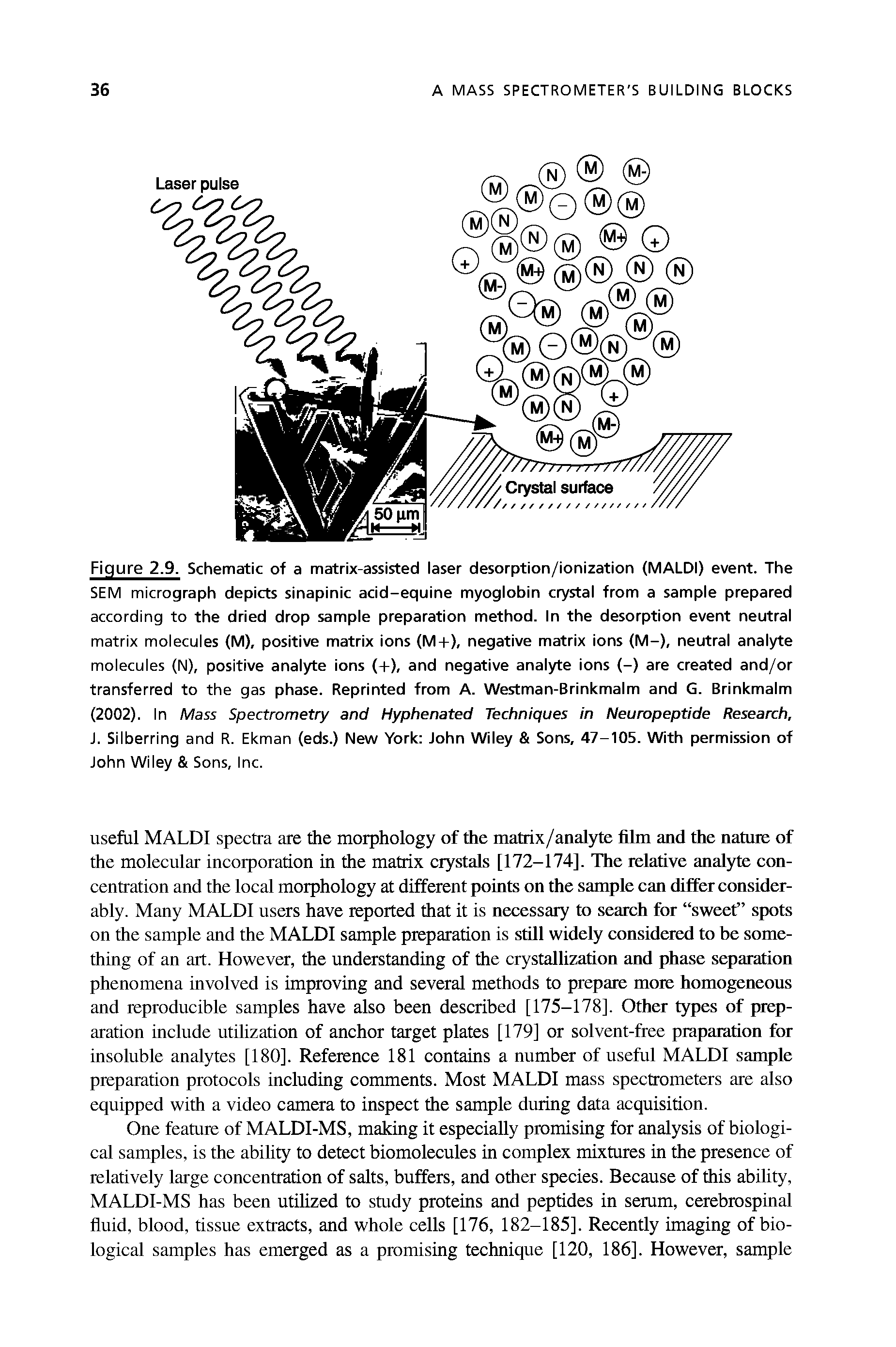 Figure 2.9. Schematic of a matrix-assisted laser desorption/ionization (MALDI) event. The SEM micrograph depicts sinapinic acid-equine myoglobin crystal from a sample prepared according to the dried drop sample preparation method. In the desorption event neutral matrix molecules (M), positive matrix ions (M+), negative matrix ions (M-), neutral analyte molecules (N), positive analyte ions (+), and negative analyte ions (-) are created and/or transferred to the gas phase. Reprinted from A. Westman-Brinkmalm and G. Brinkmalm (2002). In Mass Spectrometry and Hyphenated Techniques in Neuropeptide Research, J. Silberring and R. Ekman (eds.) New York John Wiley Sons, 47-105. With permission of John Wiley Sons, Inc.