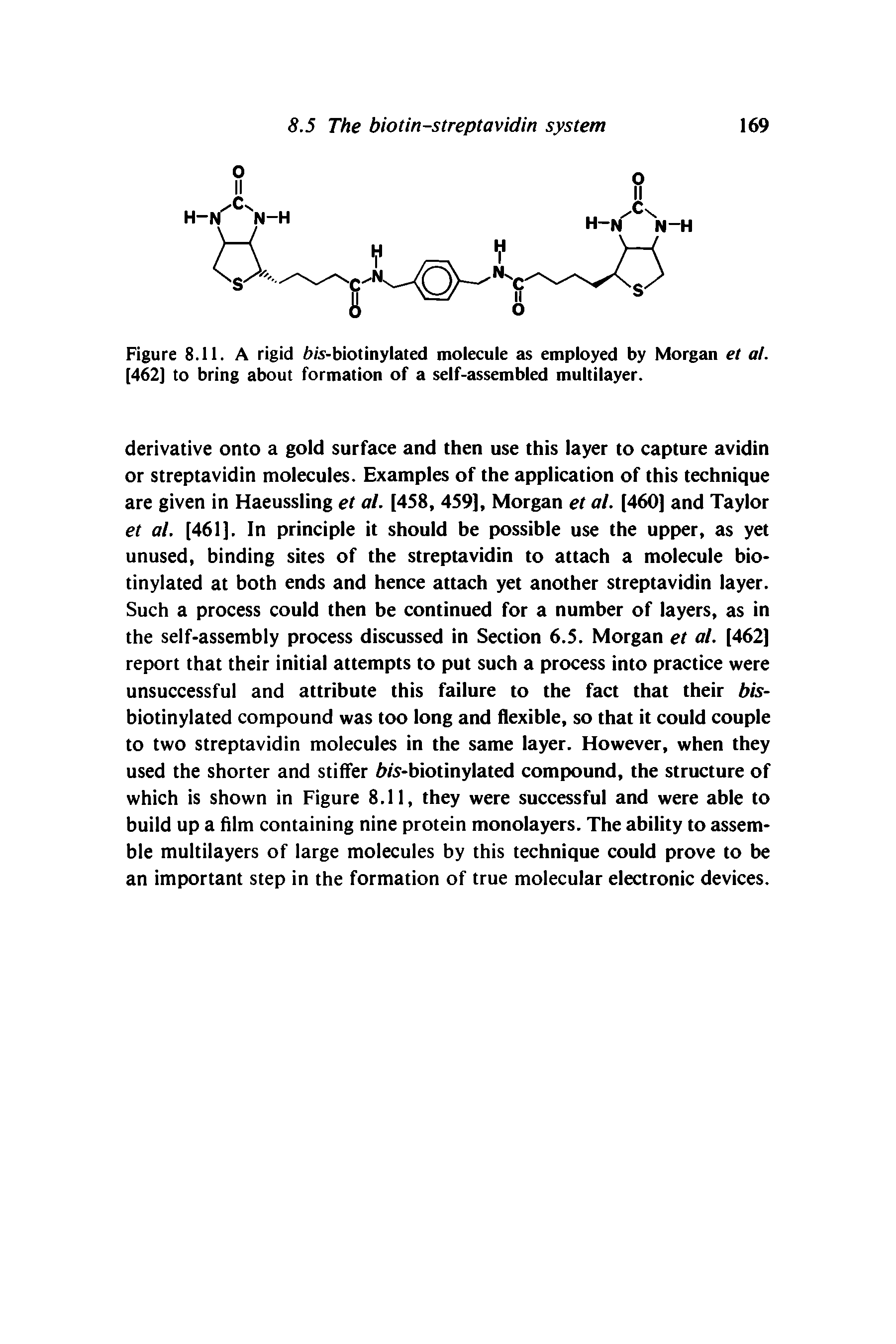 Figure 8.11. A rigid to-biotinylated molecule as employed by Morgan et at. [462] to bring about formation of a self-assembled multilayer.