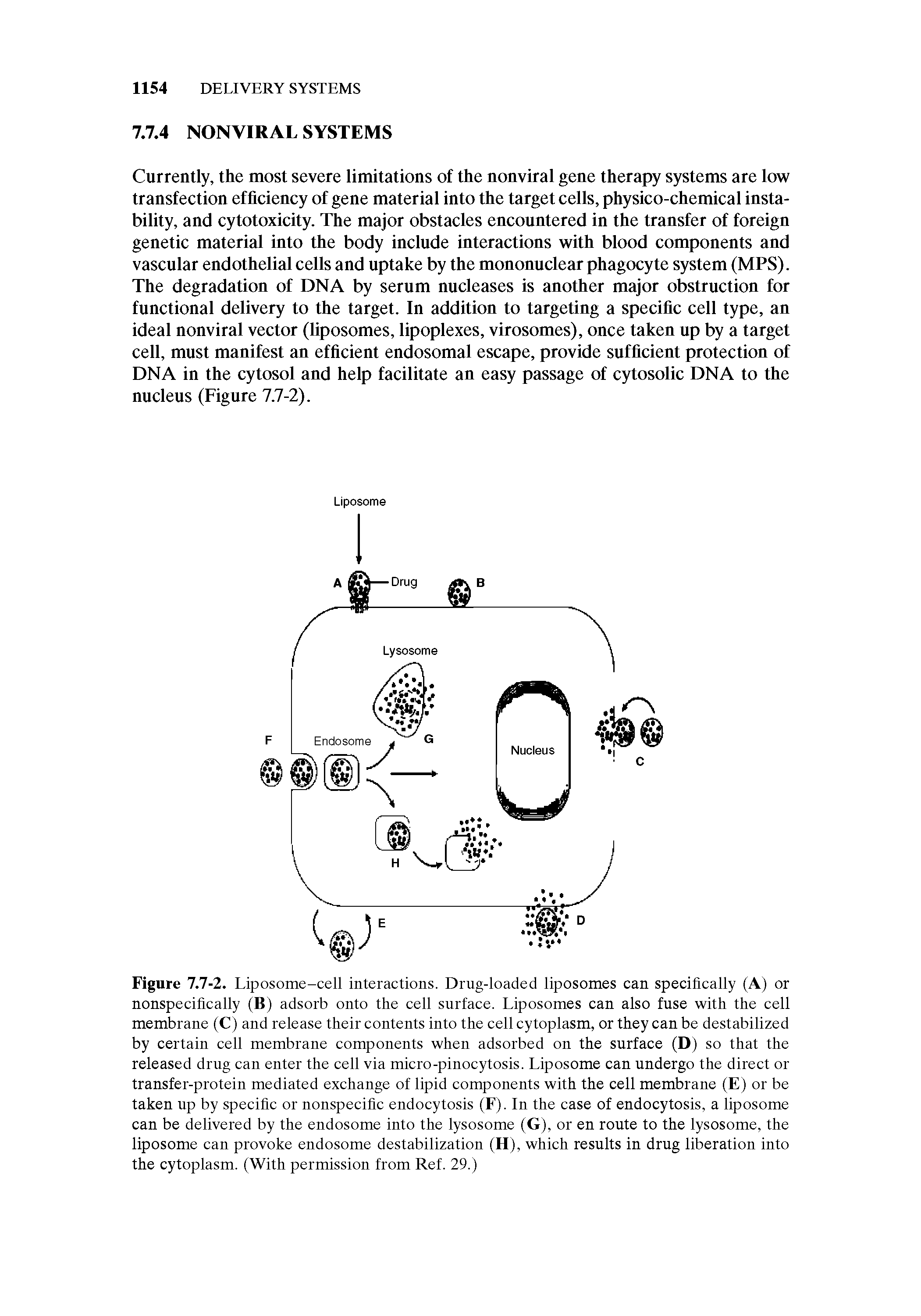 Figure 7.7-2. Liposome-cell interactions. Drug-loaded liposomes can specifically (A) or nonspecificaiiy (B) adsorb onto the ceil surface. Liposomes can also fuse with the cell membrane (C) and release their contents into the cell cytoplasm, or they can be destabilized by certain cell membrane components when adsorbed on the surface (D) so that the released drug can enter the cell via micro-pinocytosis. Liposome can undergo the direct or transfer-protein mediated exchange of lipid components with the cell membrane (E) or be taken up by specific or nonspecific endocytosis (F). In the case of endocytosis, a liposome can be delivered by the endosome into the lysosome (G), or en route to the lysosome, the liposome can provoke endosome destabilization (H), which results in drug liberation into the cytoplasm. (With permission from Ref. 29.)...