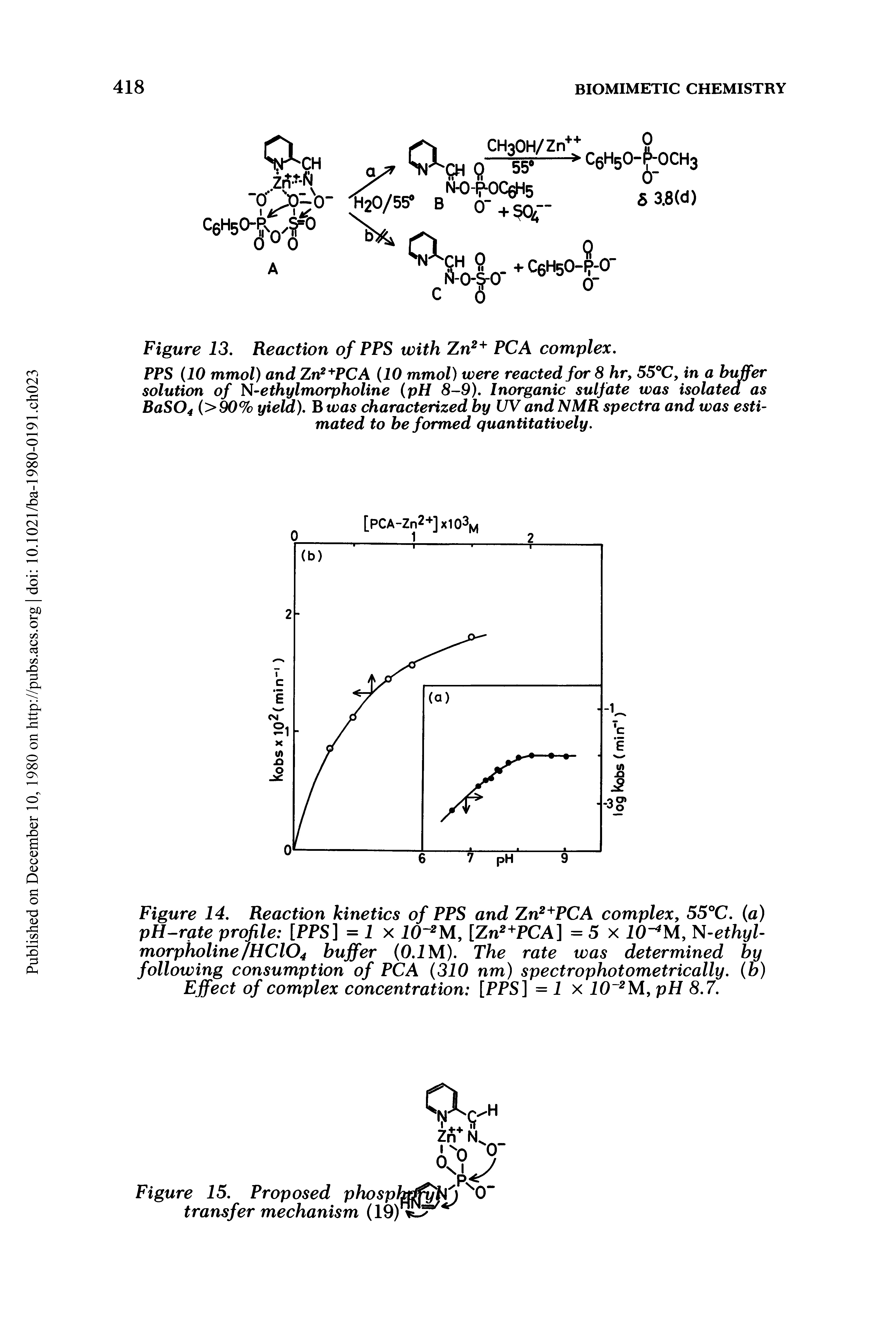 Figure 14. Reaction kinetics of PPS and Zn2+PCA complex, 55°C. (a) pH-rqte profile [PPS] = 1 x 10 2M, [Zn2+PCA] = 5 x W4M, -ethyl-morpholine/HC104 buffer (0.1 M). The rate was determined by following consumption of PCA (310 nm) spectrophotometrically. (b) Effect of complex concentration [PPS] = 1 x 10 2M, pH 8.7.