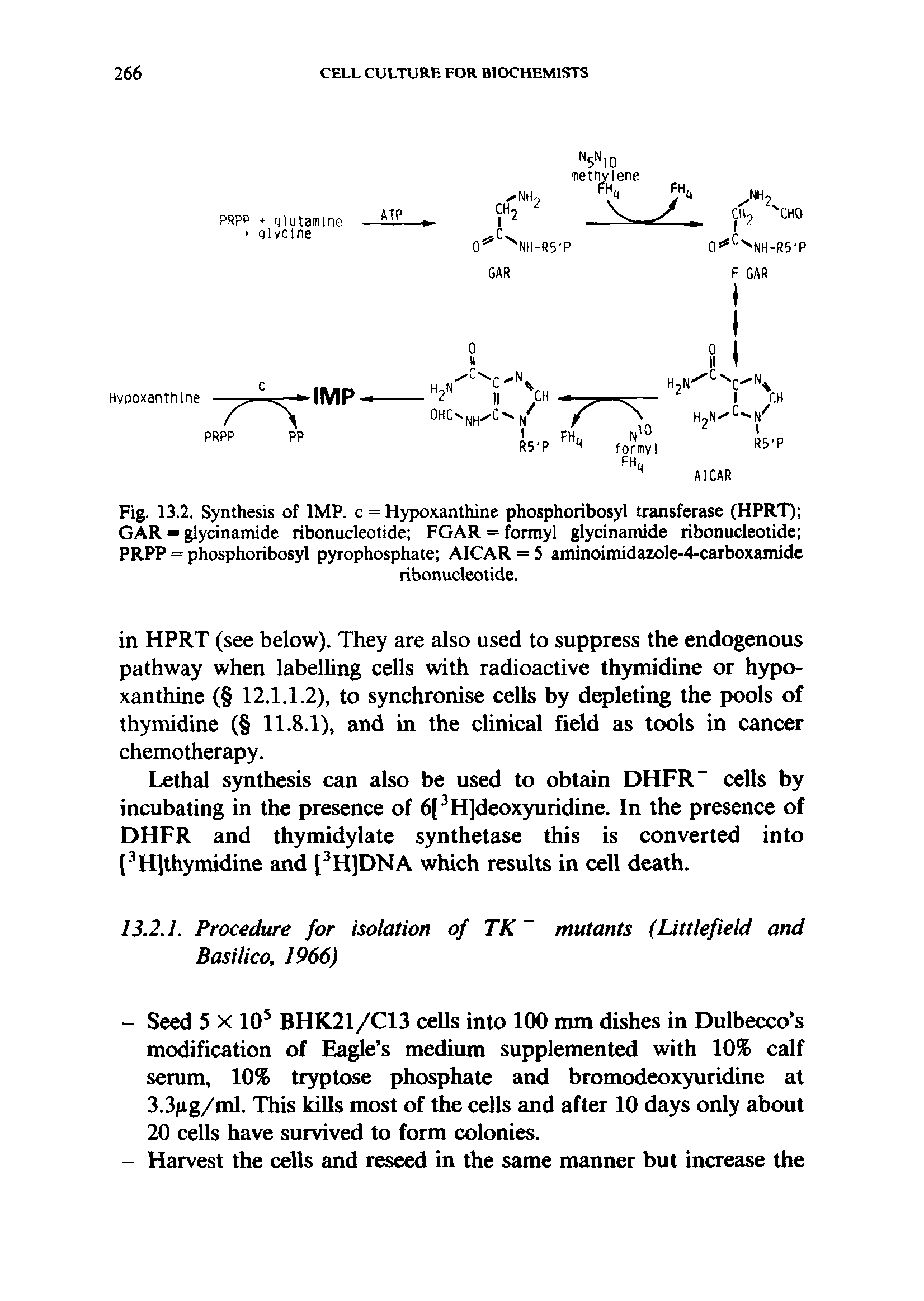 Fig. 13.2. Synthesis of IMP. c = Hypoxanthine phosphoribosyl transferase (HPRT) GAR = glycinamide ribonucleotide FGAR = formyl glycinamide ribonucleotide PRPP = phosphoribosyl pyrophosphate AICAR = 5 aminoimidazole-4-carboxamide...