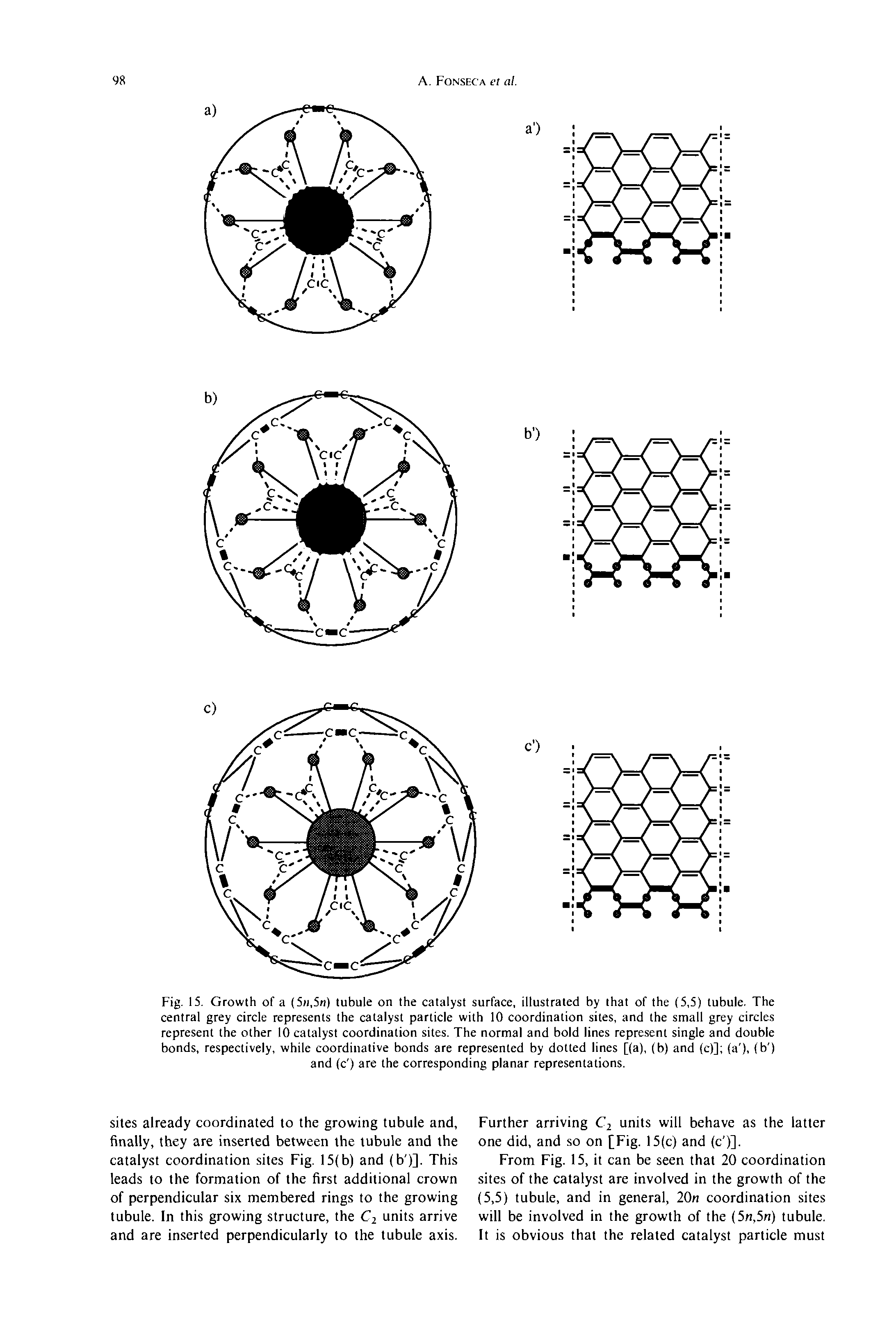 Fig. 15. Growth of a (5ii,5n) tubule on the catalyst surface, illustrated by that of the (5,5) tubule. The central grey circle represents the catalyst particle with 10 coordination sites, and the small grey circles represent the other 10 catalyst coordination sites. The normal and bold lines represent single and double bonds, respectively, while coordinative bonds are represented by dotted lines [(a), (b) and (c)] (a ), (b ) and (c ) are the corresponding planar representations.