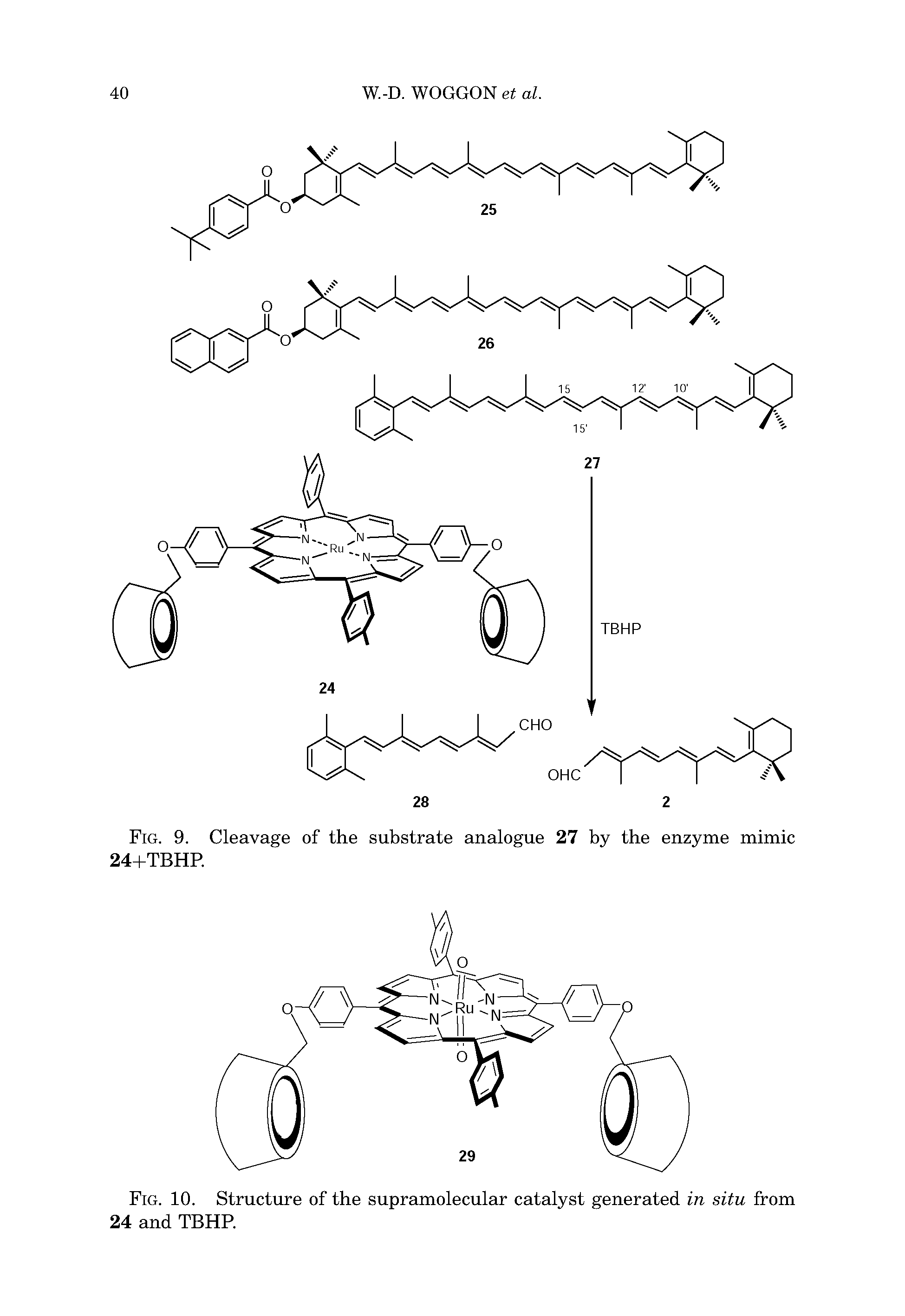 Fig. 10. Structure of the supramolecular catalyst generated in situ from 24 and TBHP.