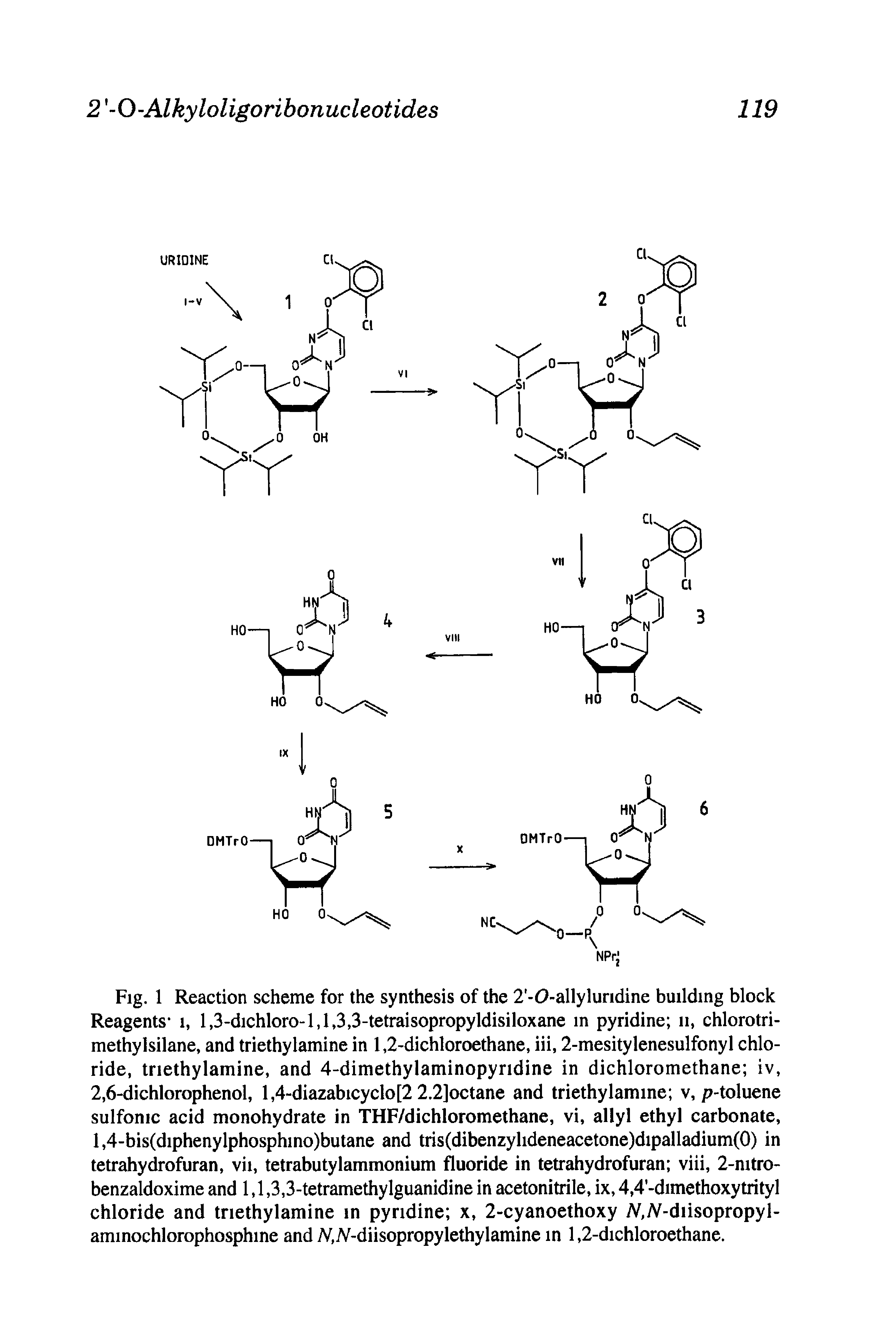 Fig. 1 Reaction scheme for the synthesis of the 2 -0-allyluridine building block Reagents i, l,3-dichlorO l,l,3,3-tetraisopropyldisiloxane in pyridine ii, chlorotri-methylsilane, and triethylamine in 1,2-dichloroethane, iii, 2-mesitylenesulfonyl chloride, triethylamine, and 4-dimethyIaminopyndine in dichloromethane iv, 2,6-dichlorophenol, l,4-diazabicyclo[2 2.2]octane and triethylamine v, p-toluene sulfonic acid monohydrate in THF/dichloromethane, vi, allyl ethyl carbonate, l,4-bis(diphenylphosphino)butane and tris(dibenzylideneacetone)dipalladium(0) in tetrahydrofuran, vii, tetrabutylammonium fluoride in tetrahydrofuran viii, 2-nitro-benzaldoxime and 1,1,3,3-tetramethylguanidine in acetonitrile, ix, 4,4 -dimethoxytrityl chloride and triethylamine in pyridine x, 2-cyanoethoxy M -diisopropyl-aminochlorophosphine and //,iV-diisopropylethyiamine in 1,2-dichloroethane.