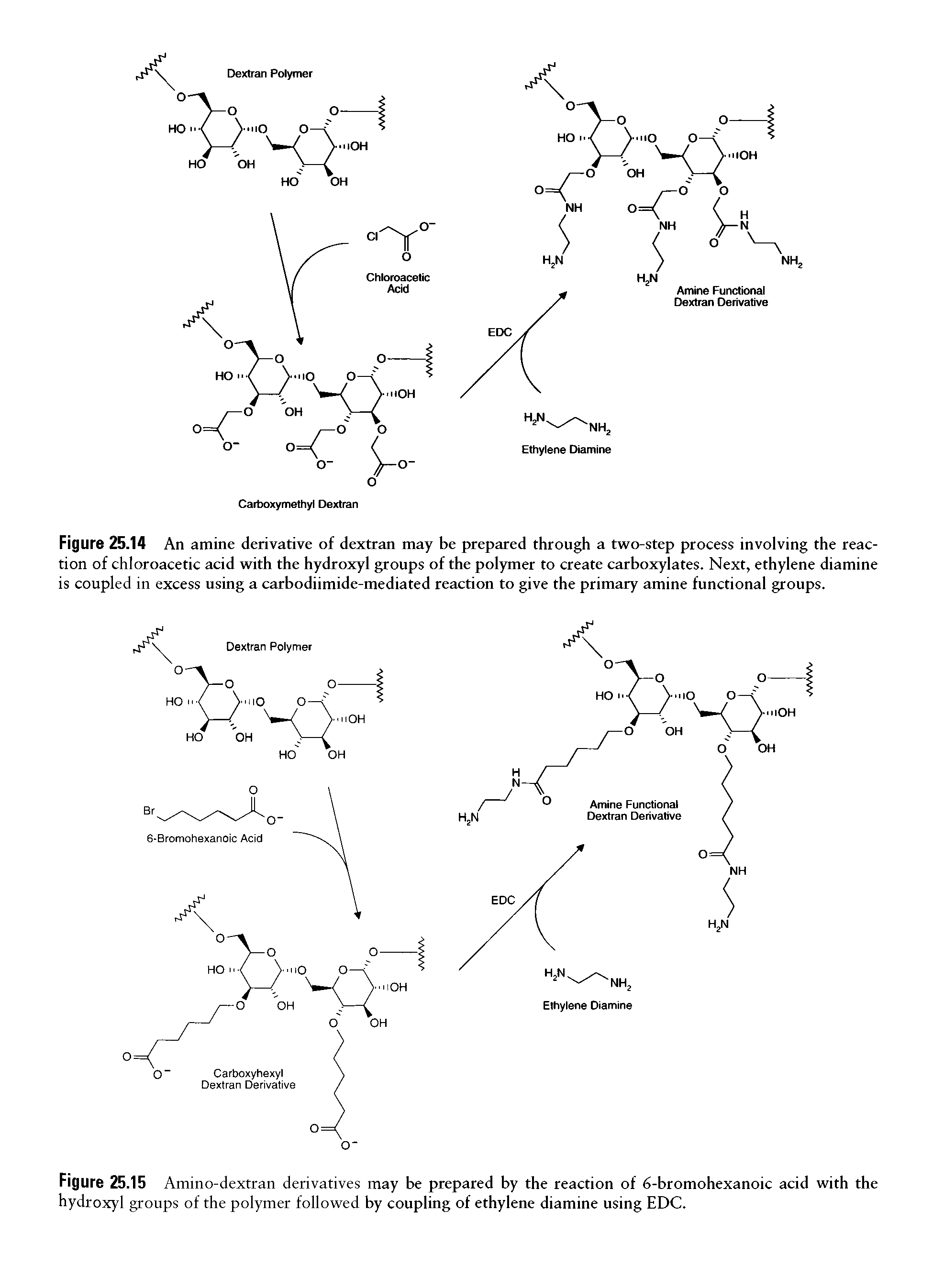 Figure 25.14 An amine derivative of dextran may be prepared through a two-step process involving the reac-tion of chloroacetic acid with the hydroxyl groups of the polymer to create carboxylates. Next, ethylene diamine is coupled in excess using a carbodiimide-mediated reaction to give the primary amine functional groups.