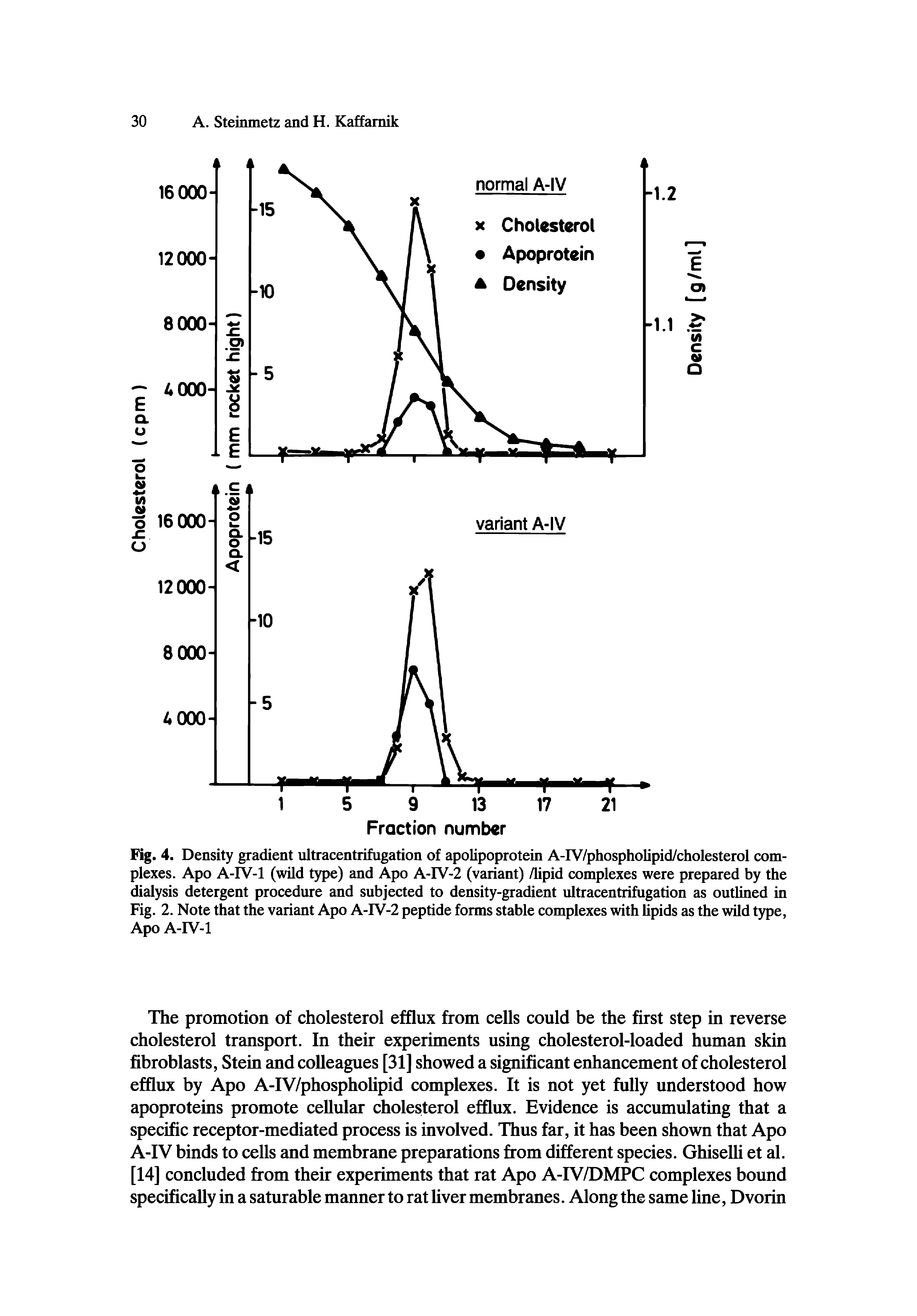 Fig. 4. Density gradient ultracentrifugation of apolipoprotein A-IV/phospholipid/cholesterol complexes. Apo A-IV-1 (wild type) and Apo A-IV-2 (variant) /lipid complexes were prepared by the dialysis detergent procedure and subjected to density-gradient ultracentrifugation as outlined in Fig. 2. Note that the variant Apo A-IV-2 peptide forms stable complexes with lipids as the wild type, Apo A-IV-1...