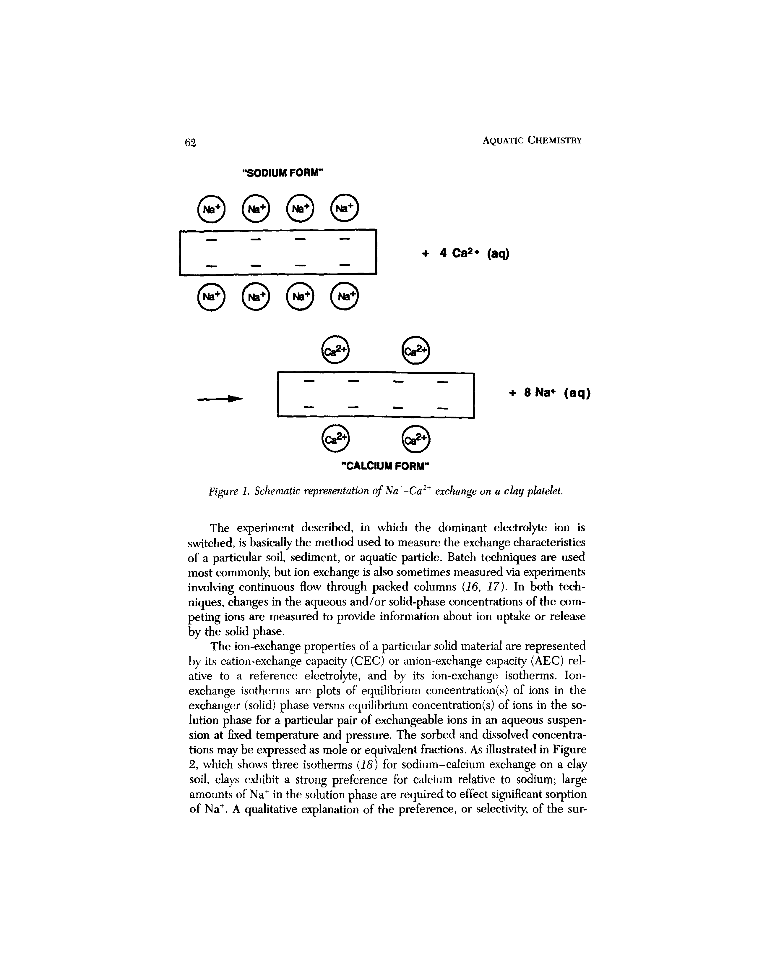 Figure 1. Schematic representation of Na -Ca2 exchange on a clay platelet.