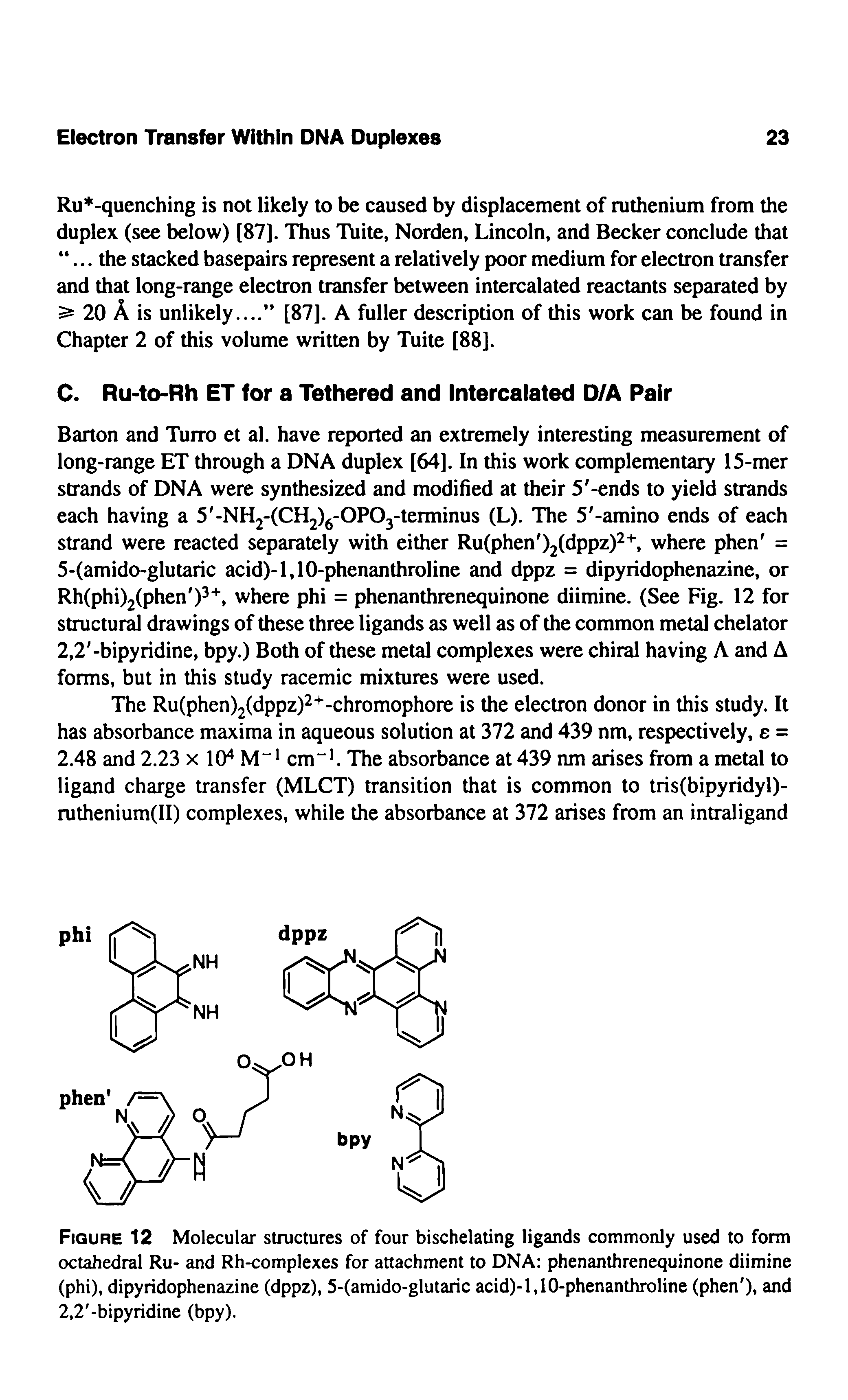 Figure 12 Molecular structures of four bischelating ligands commonly used to form octahedral Ru- and Rh-complexes for attachment to DNA phenanthrenequinone diimine (phi), dipyridophenazine (dppz), 5-(amido-glutaric acid)-l,10-phenanthroline (phen ), and 2,2 -bipyridine (bpy).
