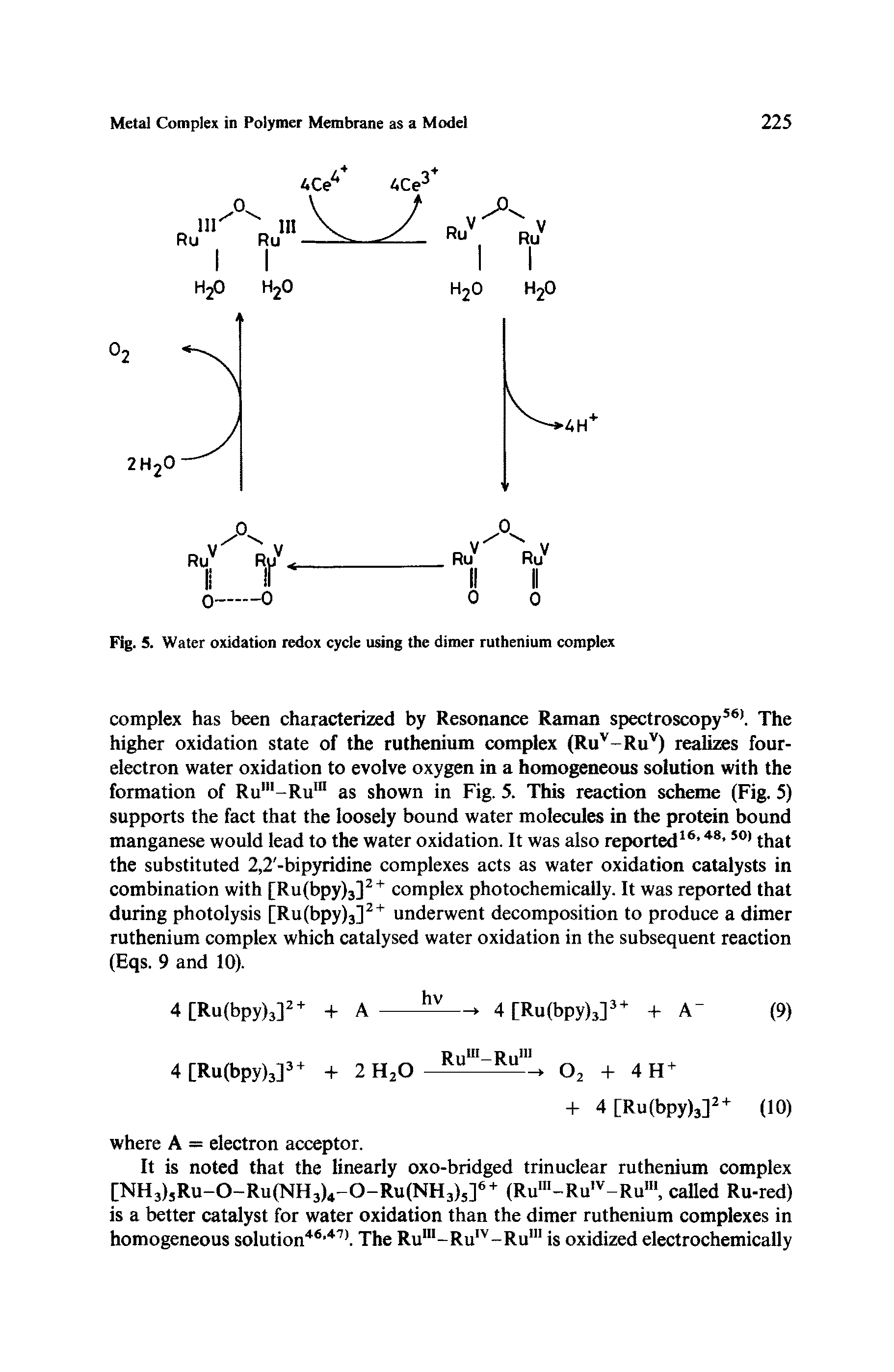 Fig. 5. Water oxidation redox cycle using the dimer ruthenium complex...